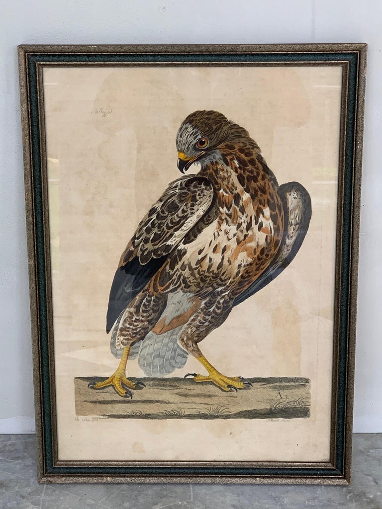 Pair of HandColored Etchings For Sale at 1stDibs