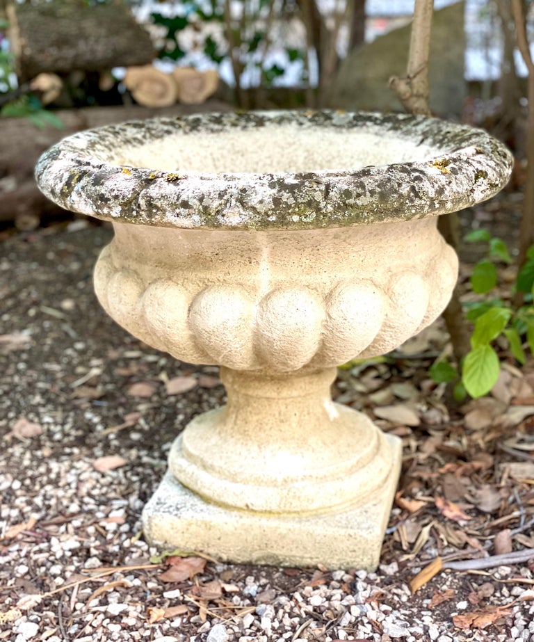 Pair of French Chambord Garden Urns For Sale at 1stDibs