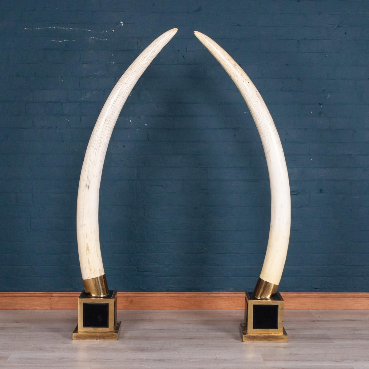 A wonderfully decorative pair of resin elephant tusks attributable to Maison Jansen, Paris, second half of the 20th century. The bases made out of black perspex and brass bound, of massive proportions standing at an impressive 184cm tall, a great