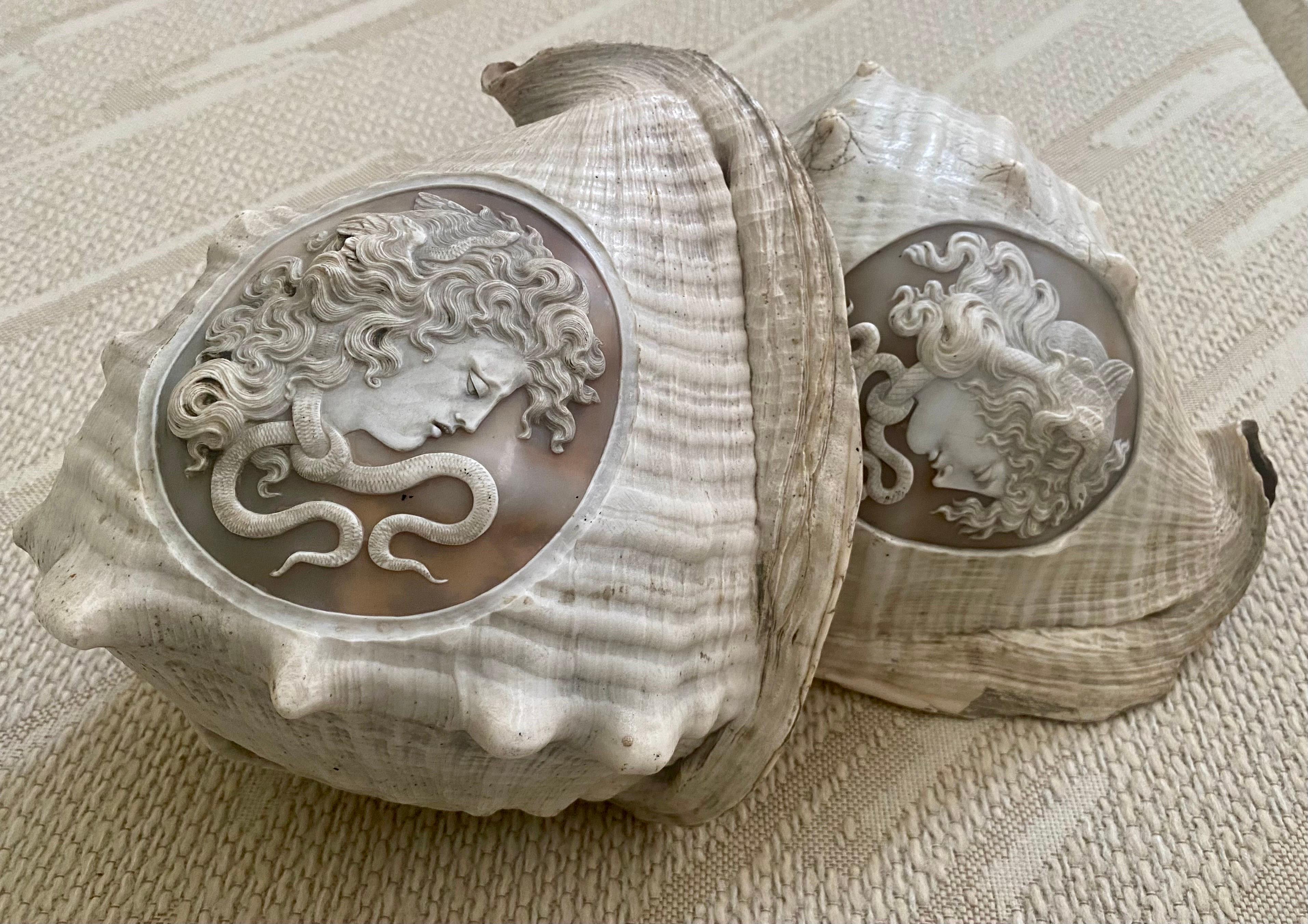 Pair of Italian Cameo 19th Century Carved Conch Shells For Sale 3