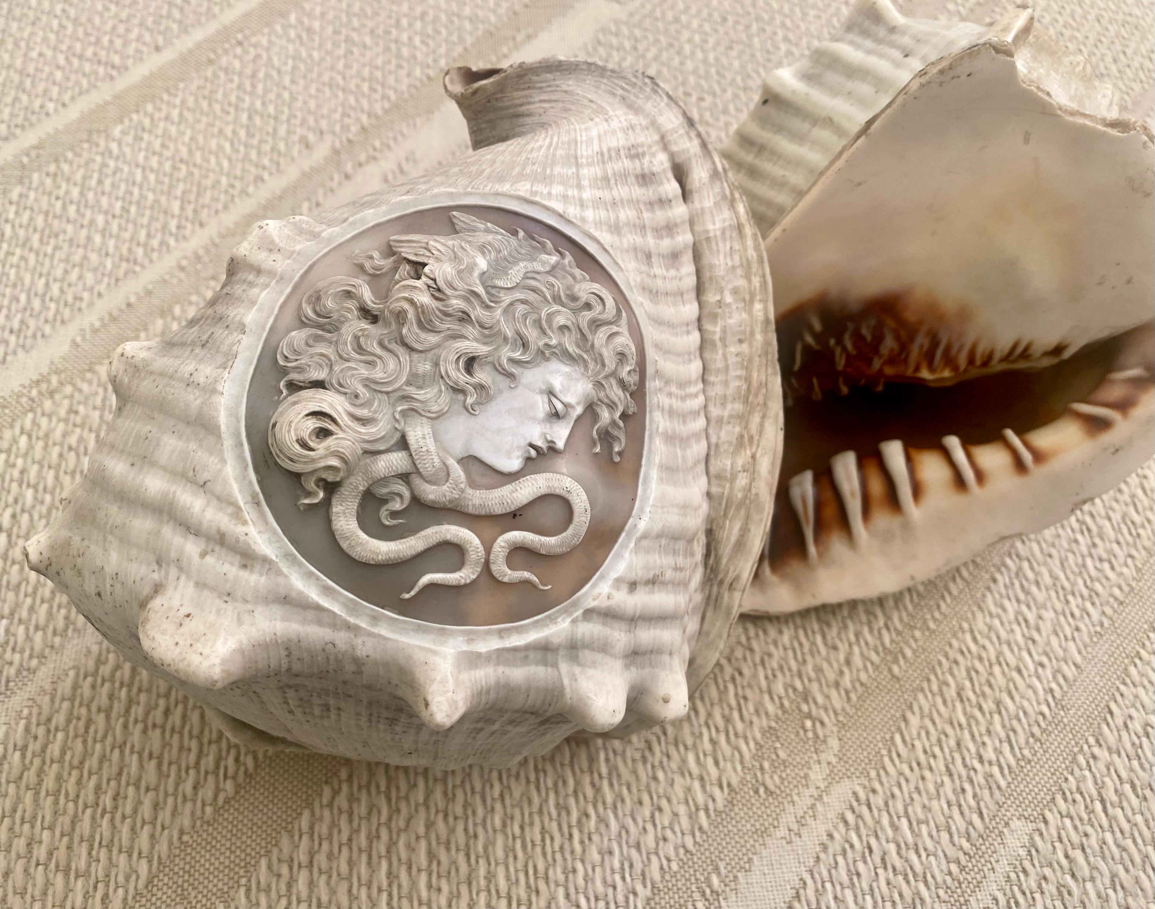 Pair of Italian Cameo 19th Century Carved Conch Shells For Sale 4