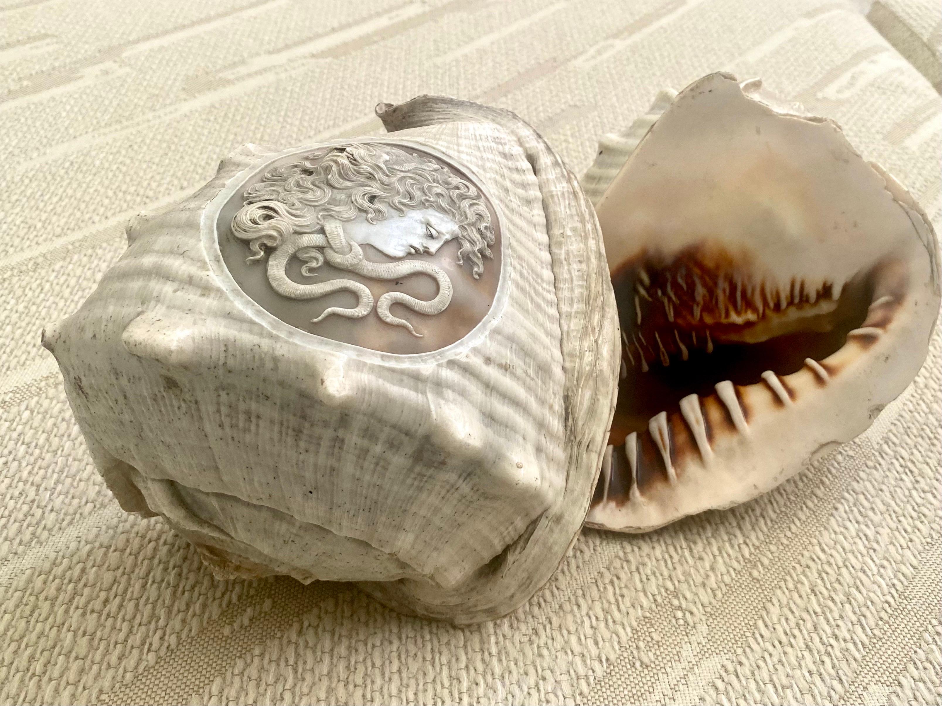 Pair of Italian Cameo 19th Century Carved Conch Shells For Sale 6