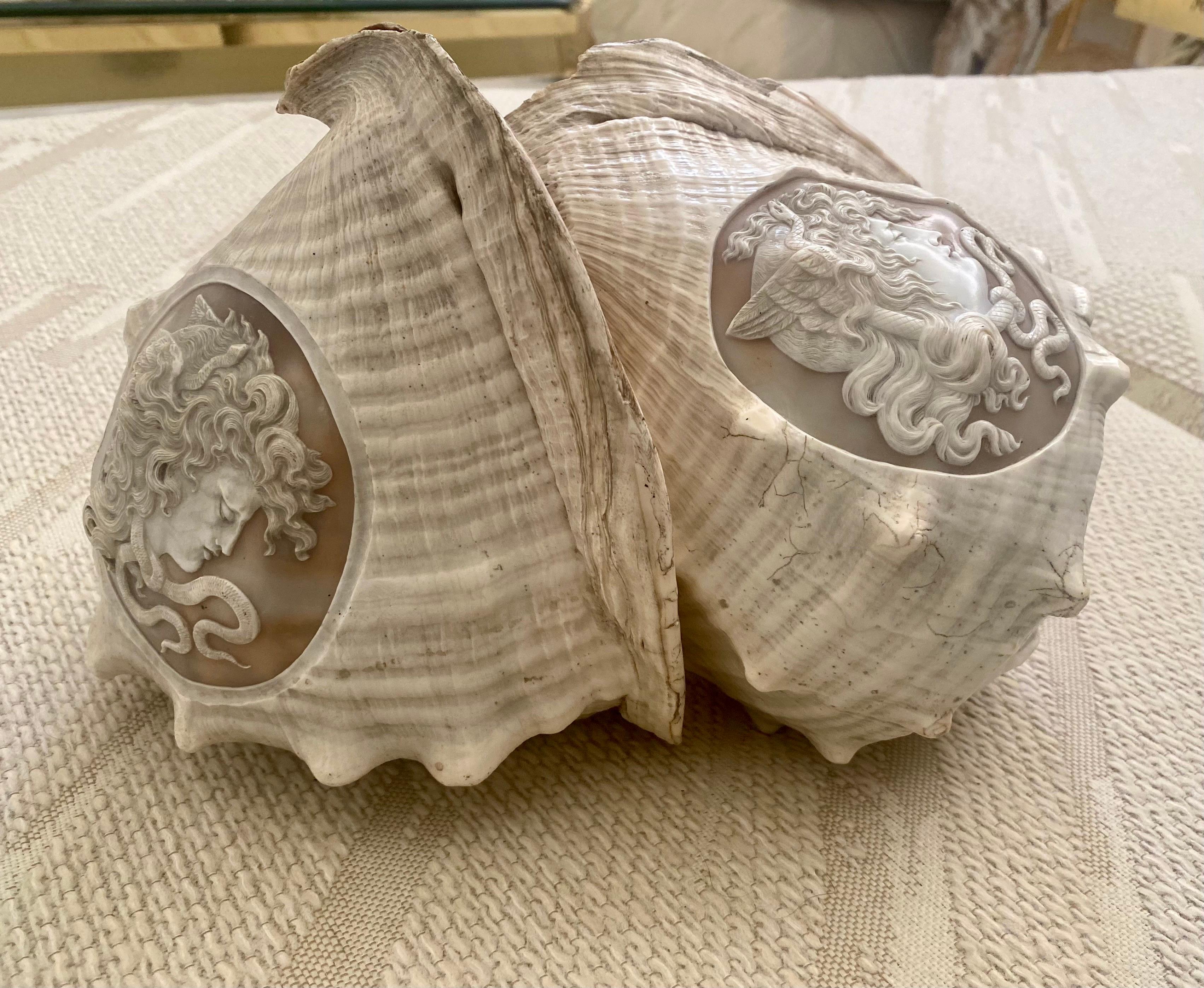 Pair of Italian Cameo 19th Century Carved Conch Shells For Sale 9