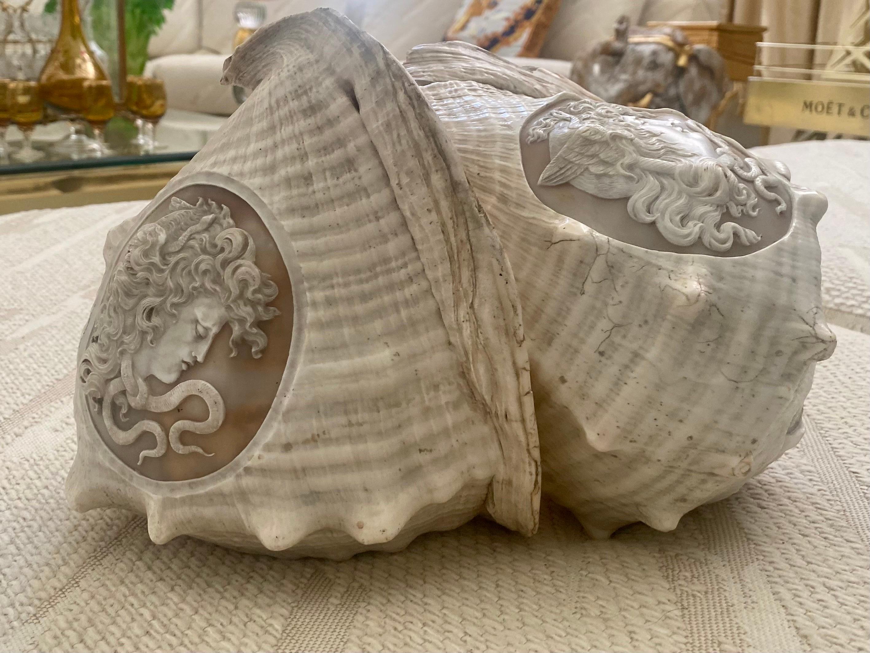 Pair of Italian Cameo 19th Century Carved Conch Shells For Sale 10