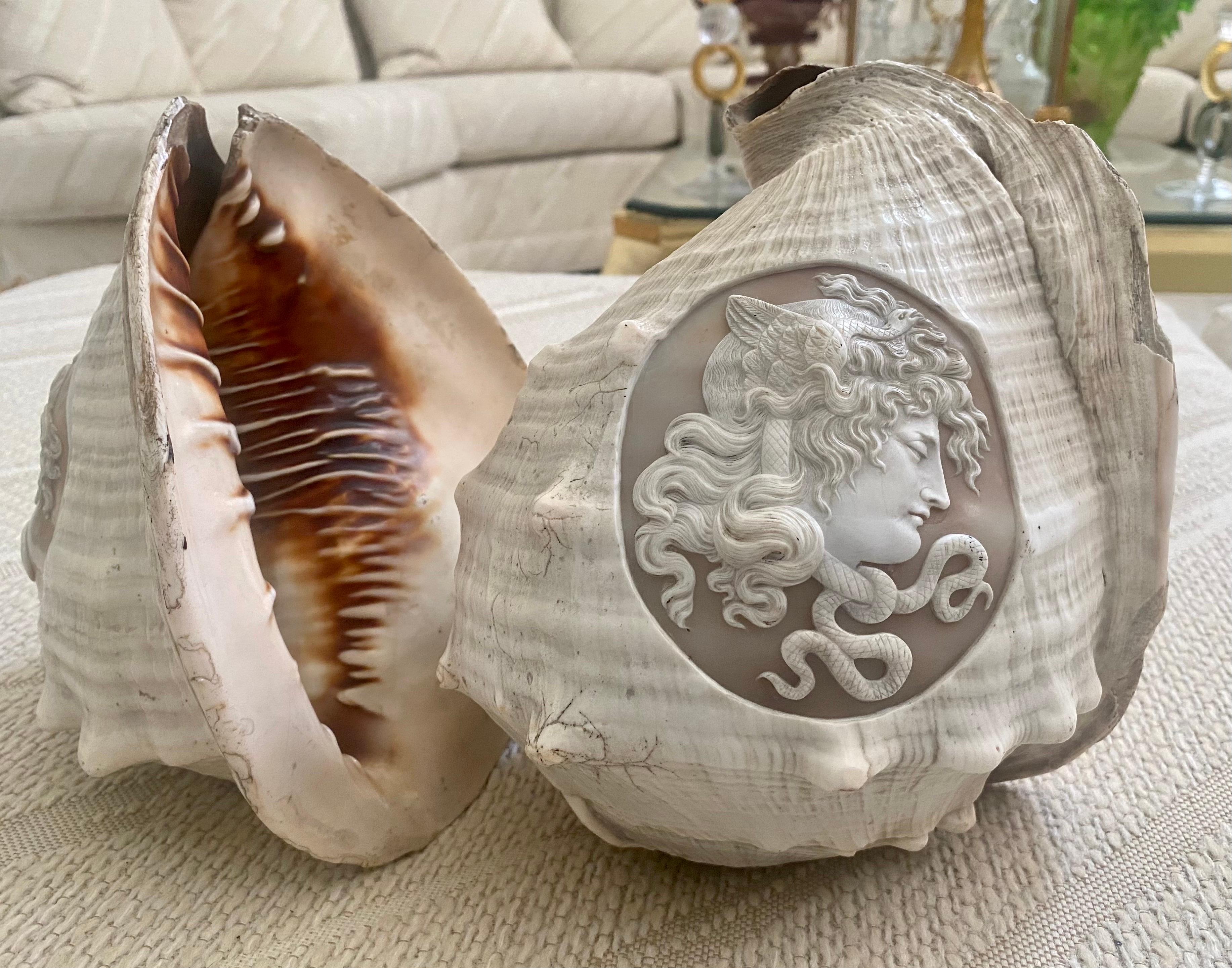 A pair of Victorian cameo carved conch shells depicting Medusa. The scene is delicately carved in varying degrees of relief, with the foreground carved in the highest relief to the background carved in the lowest relief, against a background of