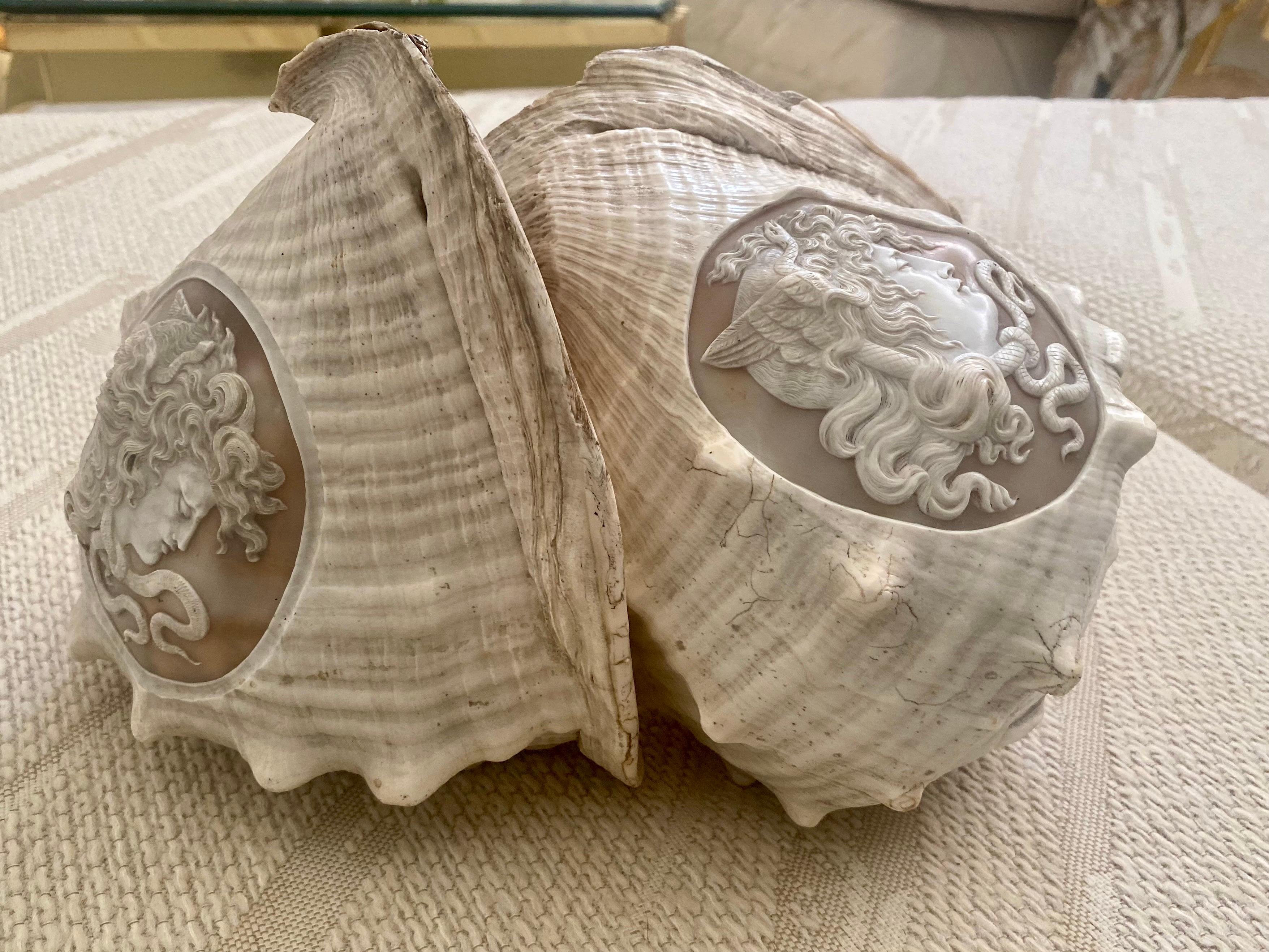 carved shells