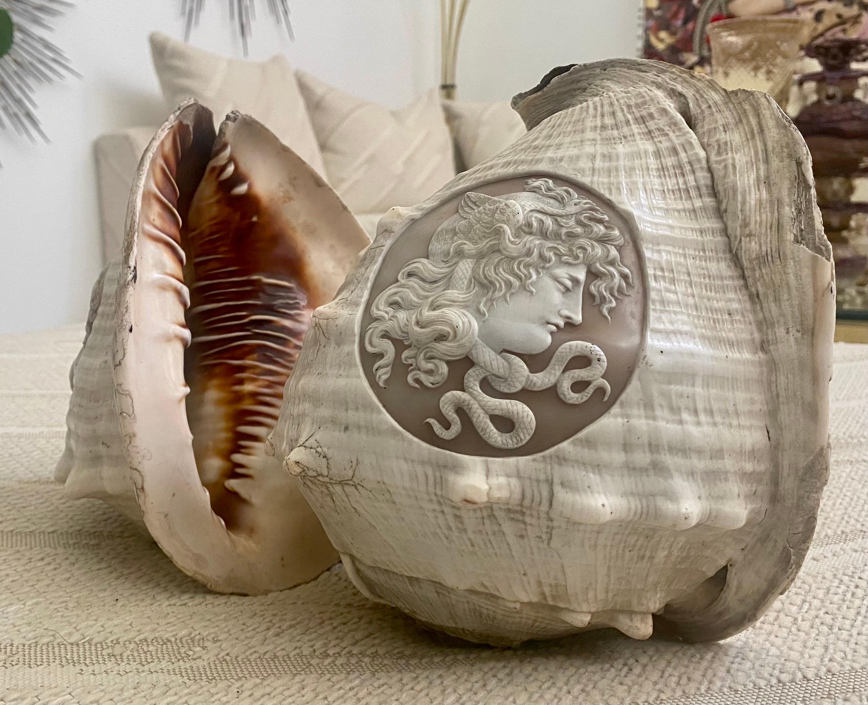 Pair of Italian Cameo 19th Century Carved Conch Shells In Good Condition For Sale In Miami, FL
