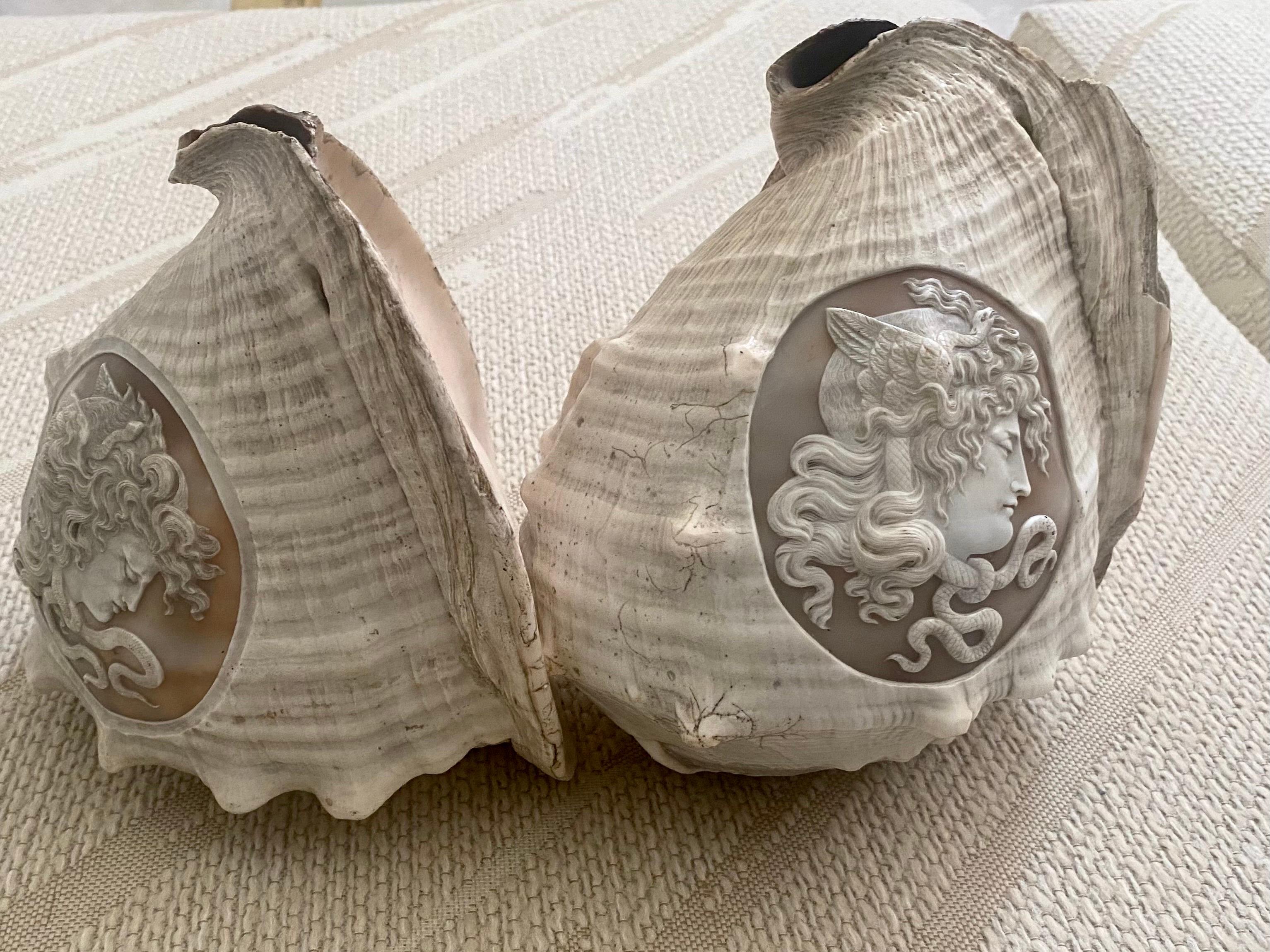 Pair of Italian Cameo 19th Century Carved Conch Shells For Sale 1
