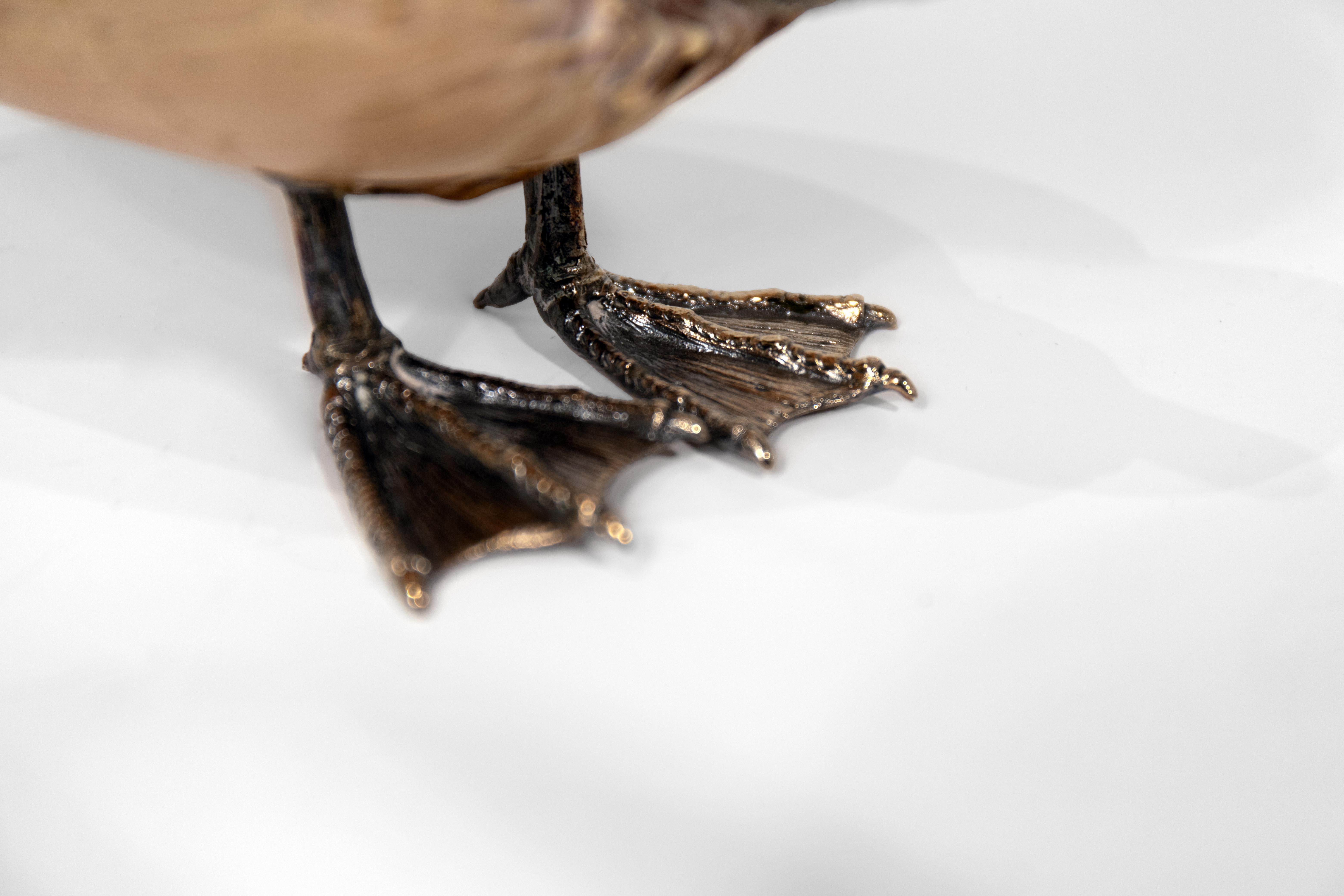 Ein Paar italienische silberne Enten auf Muscheln montiert (Ende des 20. Jahrhunderts) im Angebot