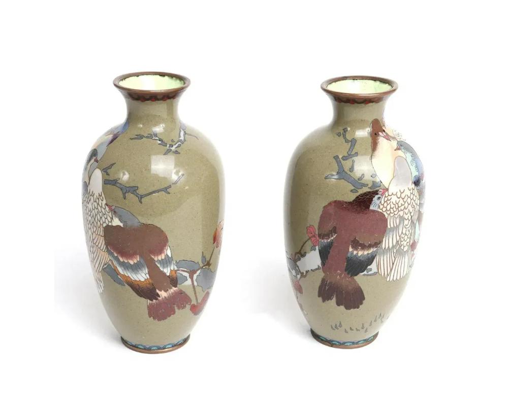 Meiji Coppia di vasi giapponesi in smalto cloisonne raffiguranti piccioni su un fiore di ciliegio in vendita