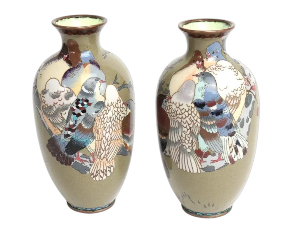 Coppia di vasi giapponesi in smalto cloisonne raffiguranti piccioni su un fiore di ciliegio in vendita