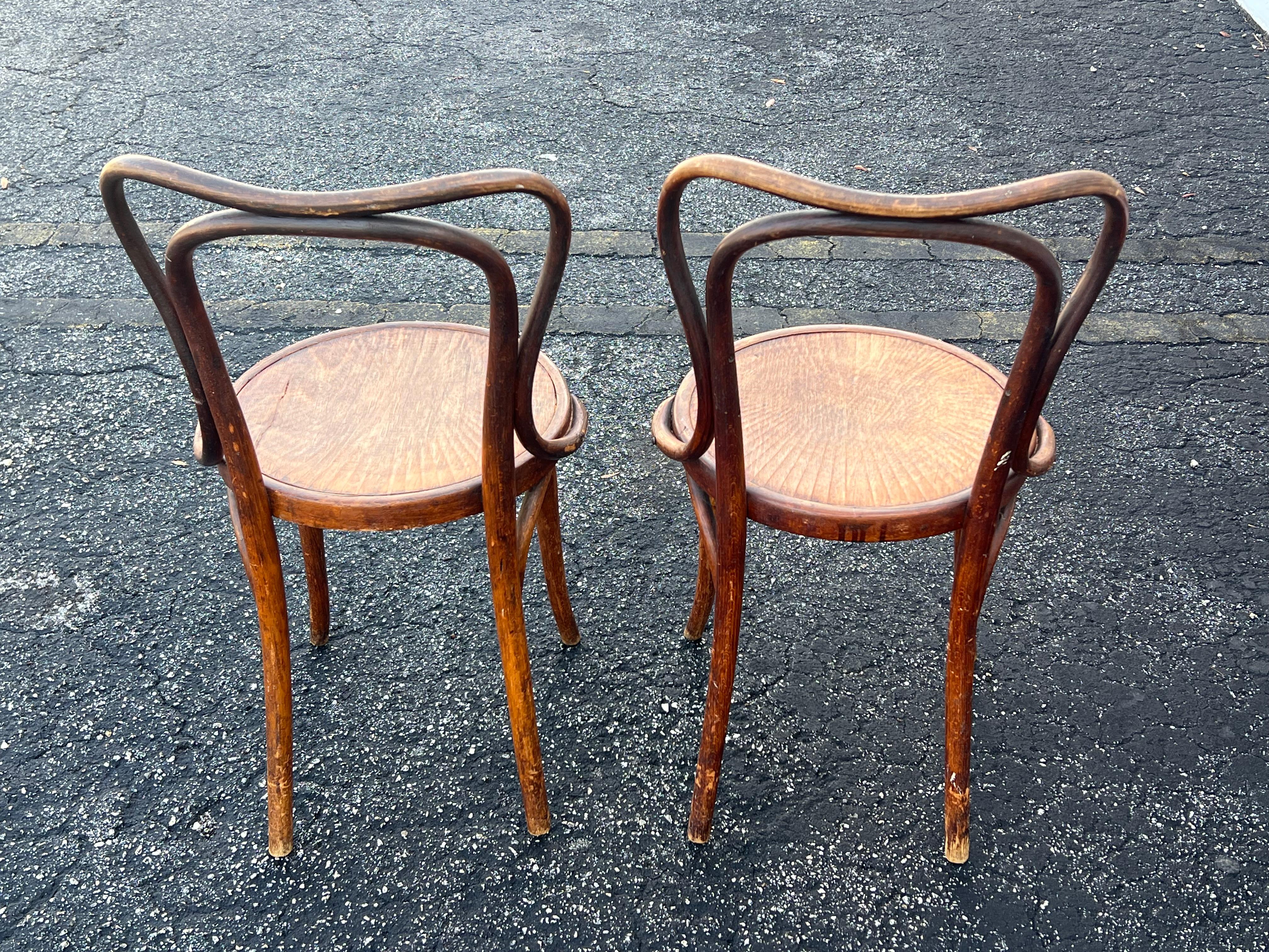 A Pair of J&J Jacob & Josef Kohn Bentwood Chairs Ca' 1890 Patina ! 1
