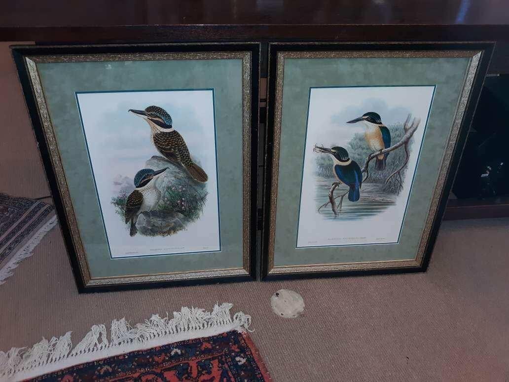 English Pair of John Gould Hand Colored Kingfisher Bird Lithographs