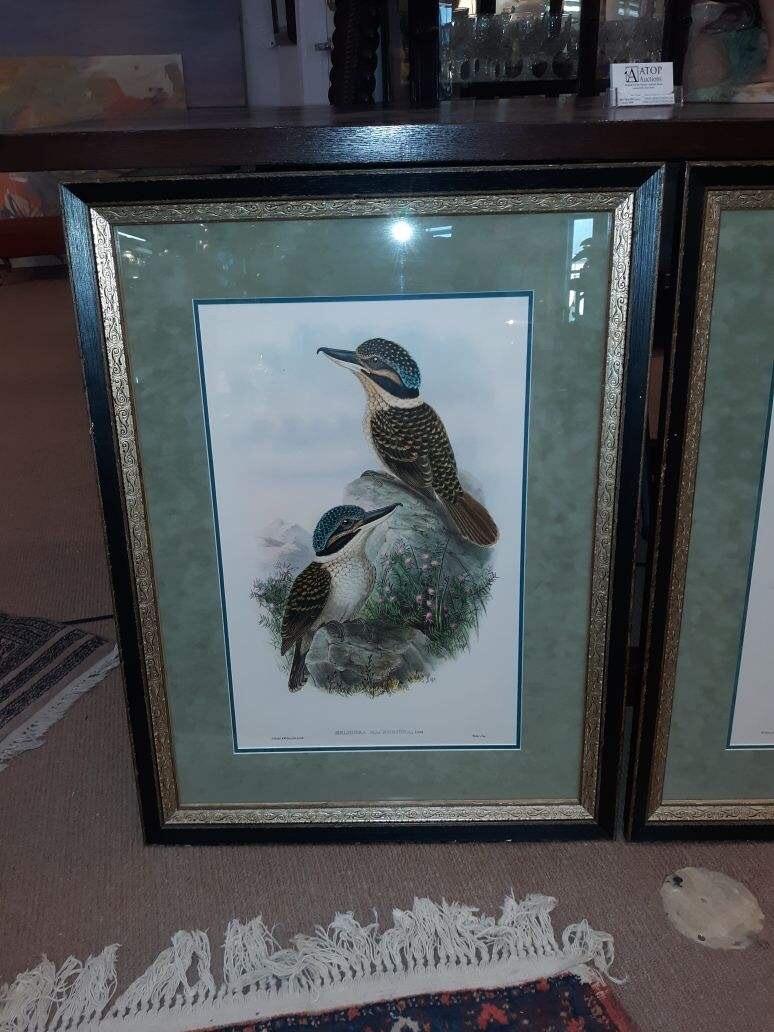 Glass Pair of John Gould Hand Colored Kingfisher Bird Lithographs