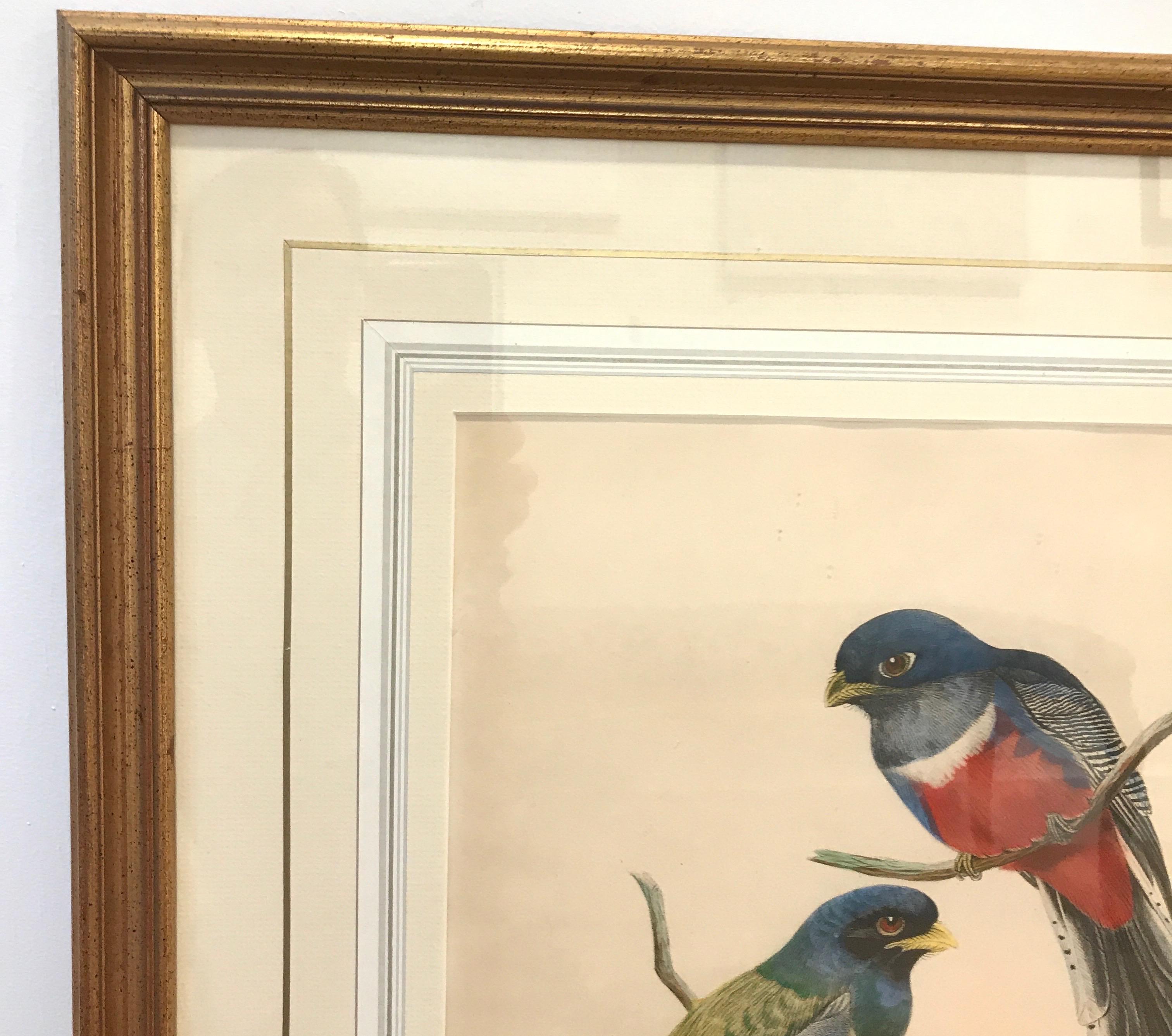 Pair of Large Antique Hand Colored Lithographs by J. Gould In Good Condition In Lambertville, NJ