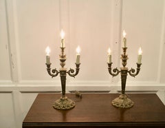 A Pair of Large Brass 3 Branch Electric Candelabra   A very beautiful pair