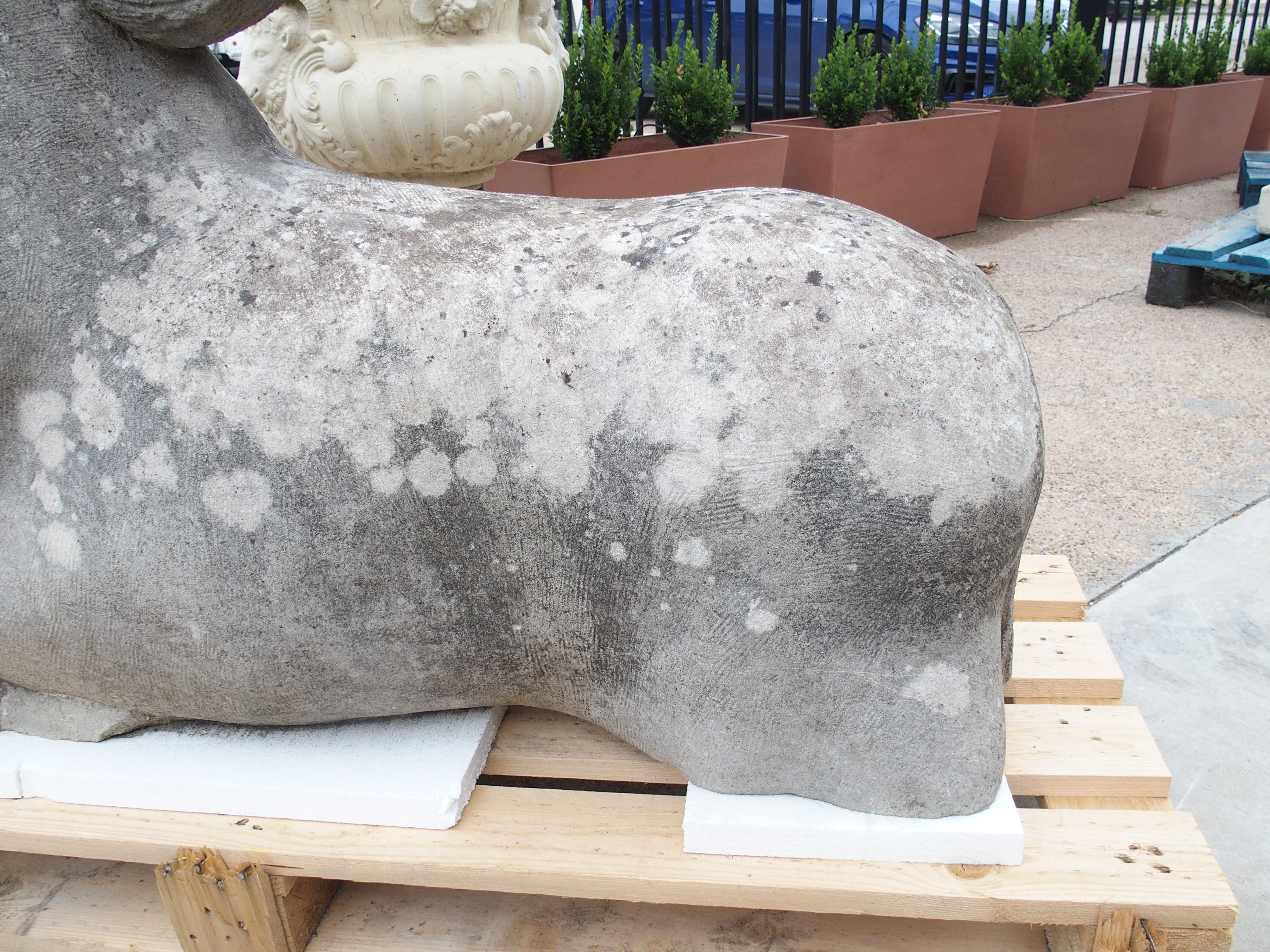 Pareja de grandes caballos tallados en piedra caliza del Véneto, Italia en venta 5