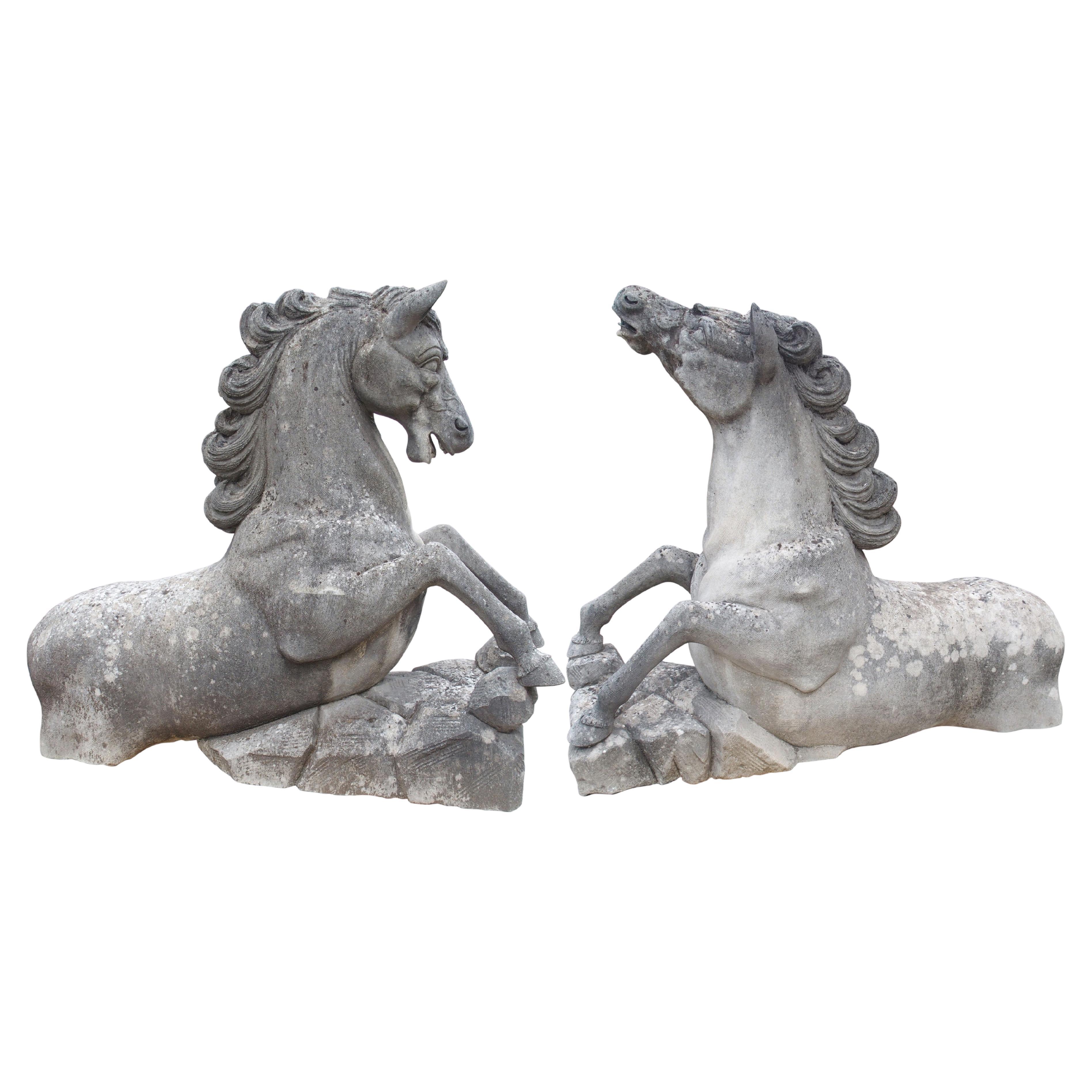 Pareja de grandes caballos tallados en piedra caliza del Véneto, Italia en venta