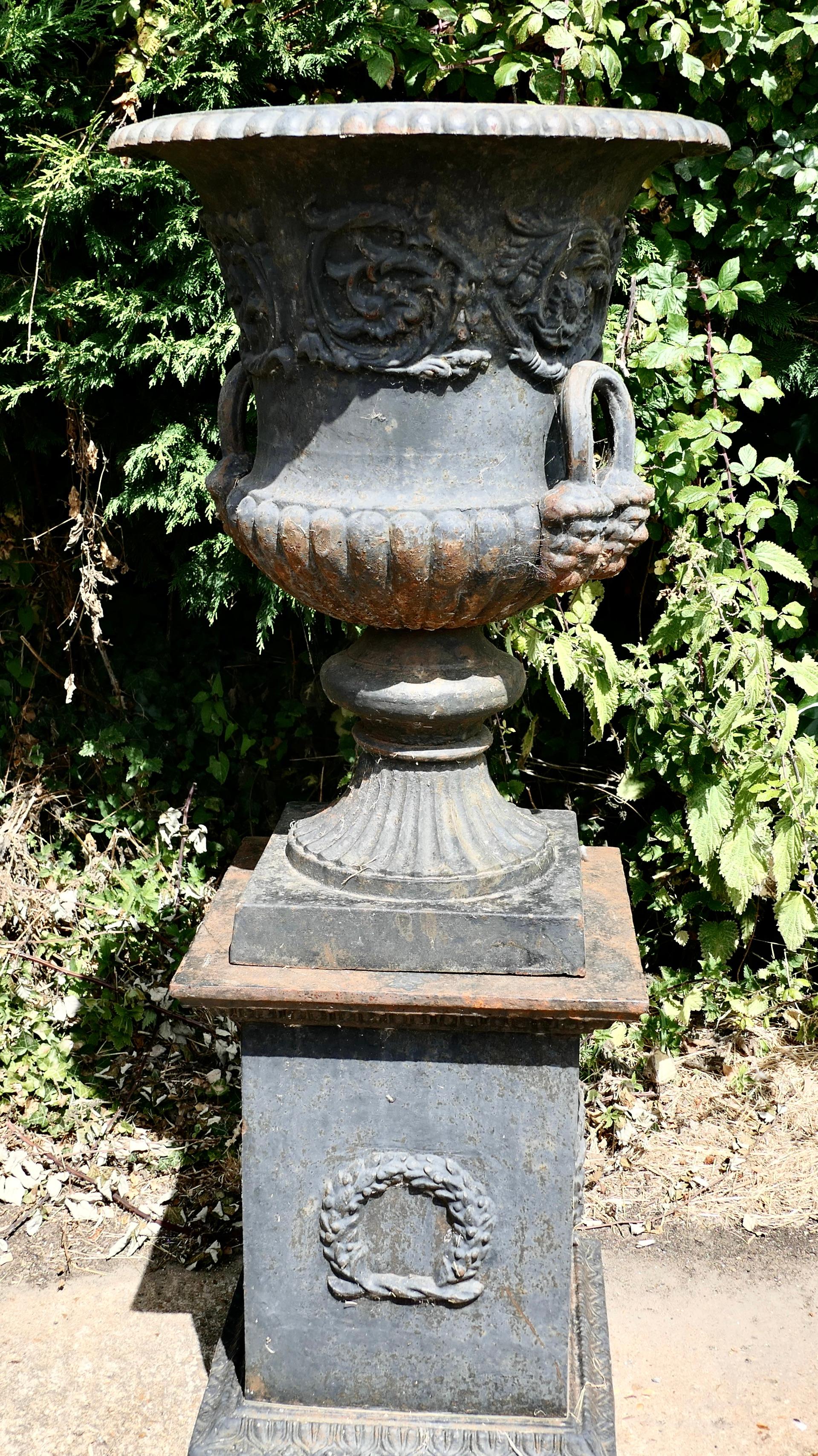 cast iron urn planter