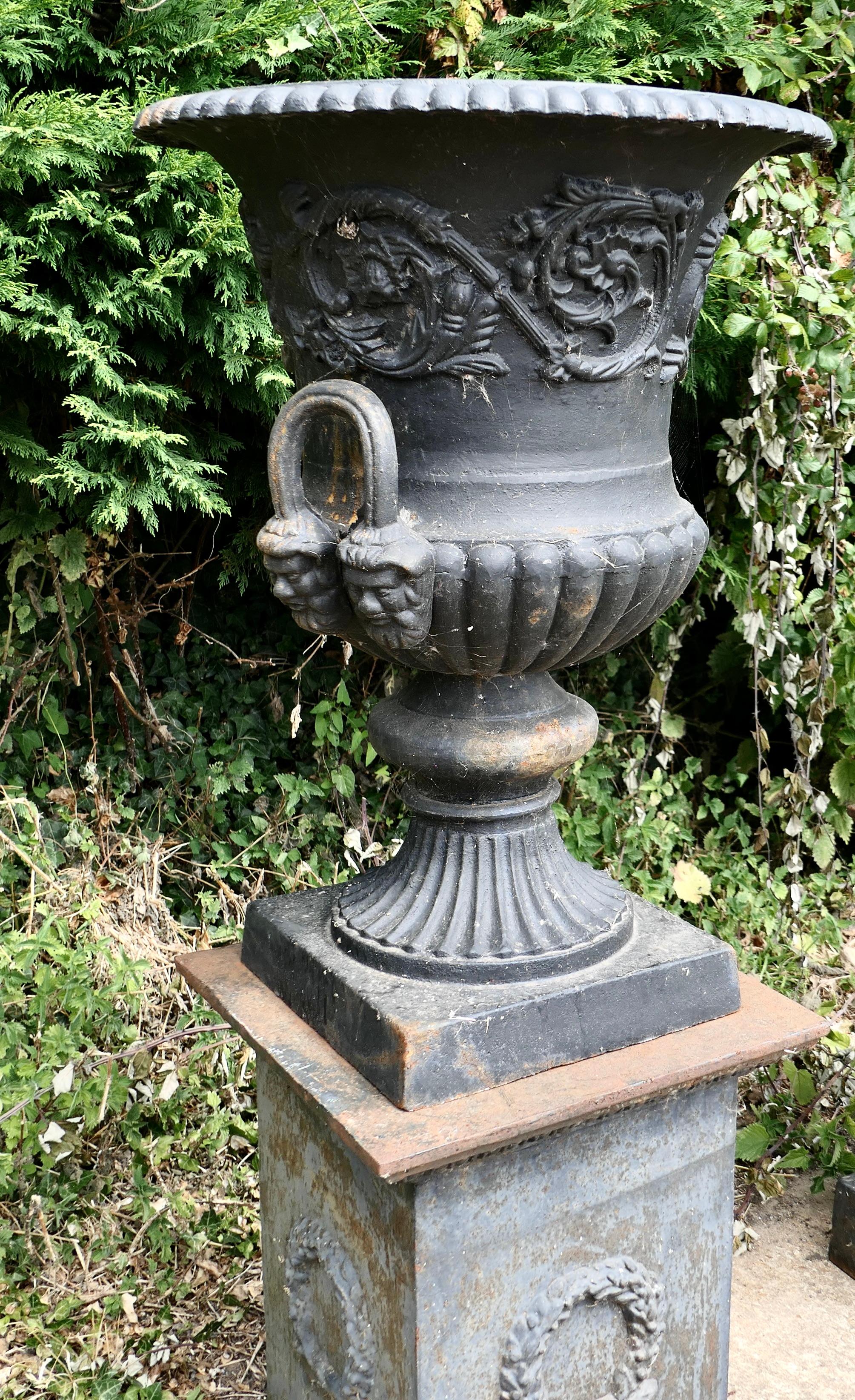 Pair of Large Cast Iron Urns, Garden Planters on Plinths In Good Condition In Godshill, Isle of Wight