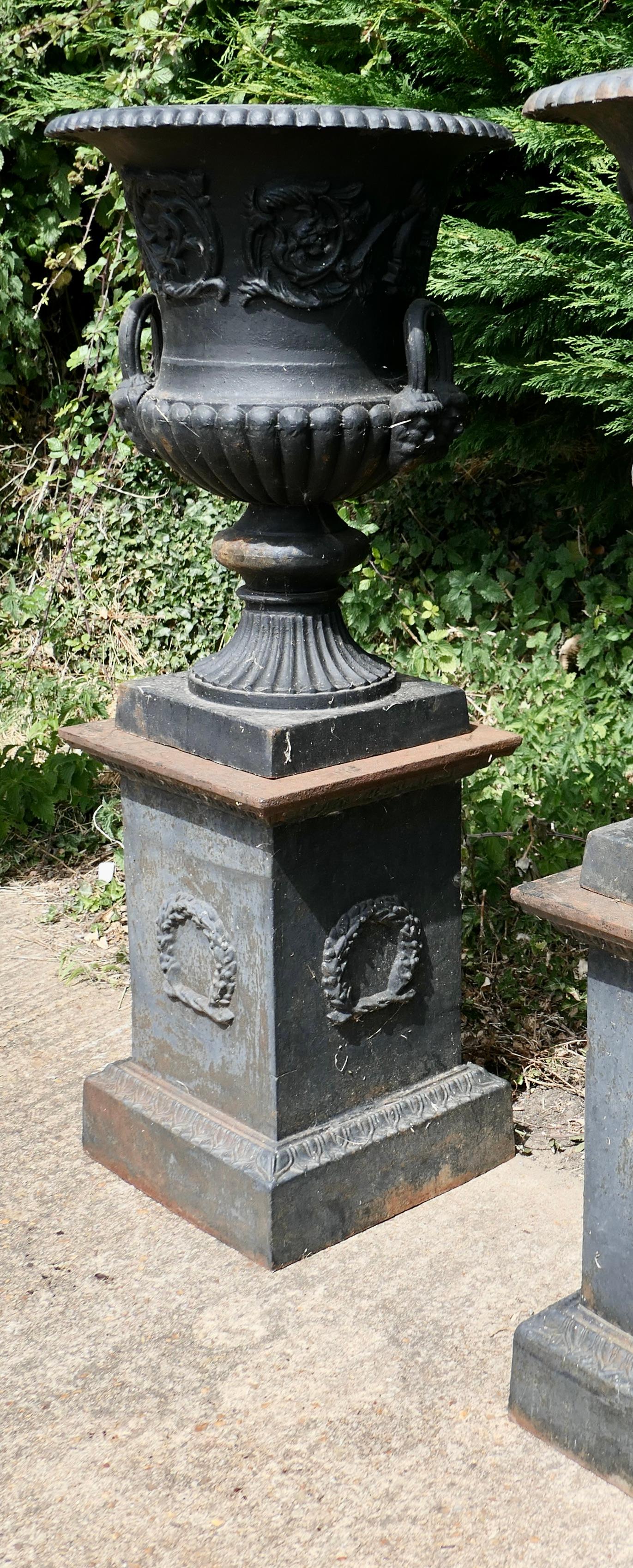 20th Century Pair of Large Cast Iron Urns, Garden Planters on Plinths