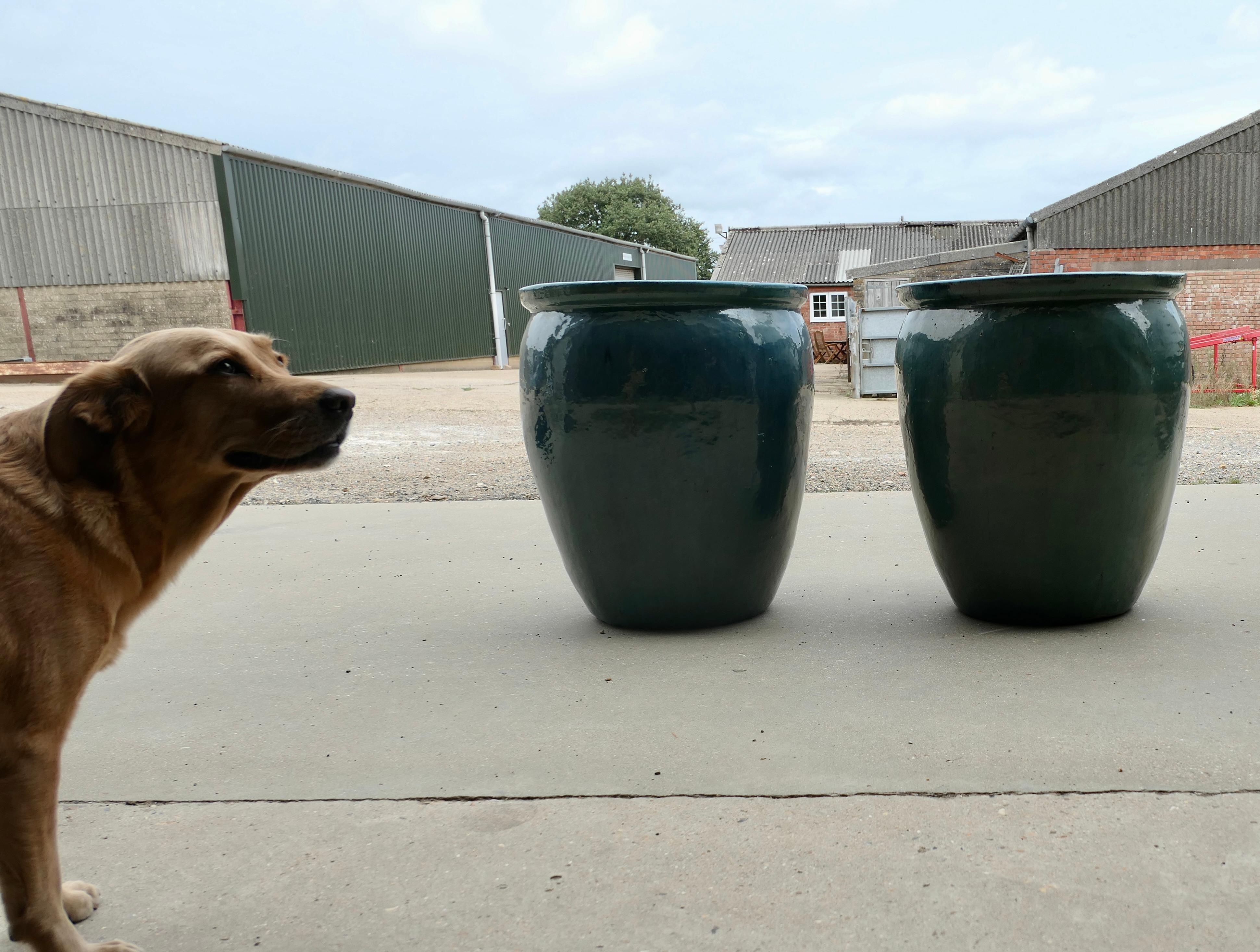 Mid-Century Modern A Pair of Large French Turquoise Garden Tree Planters For Sale