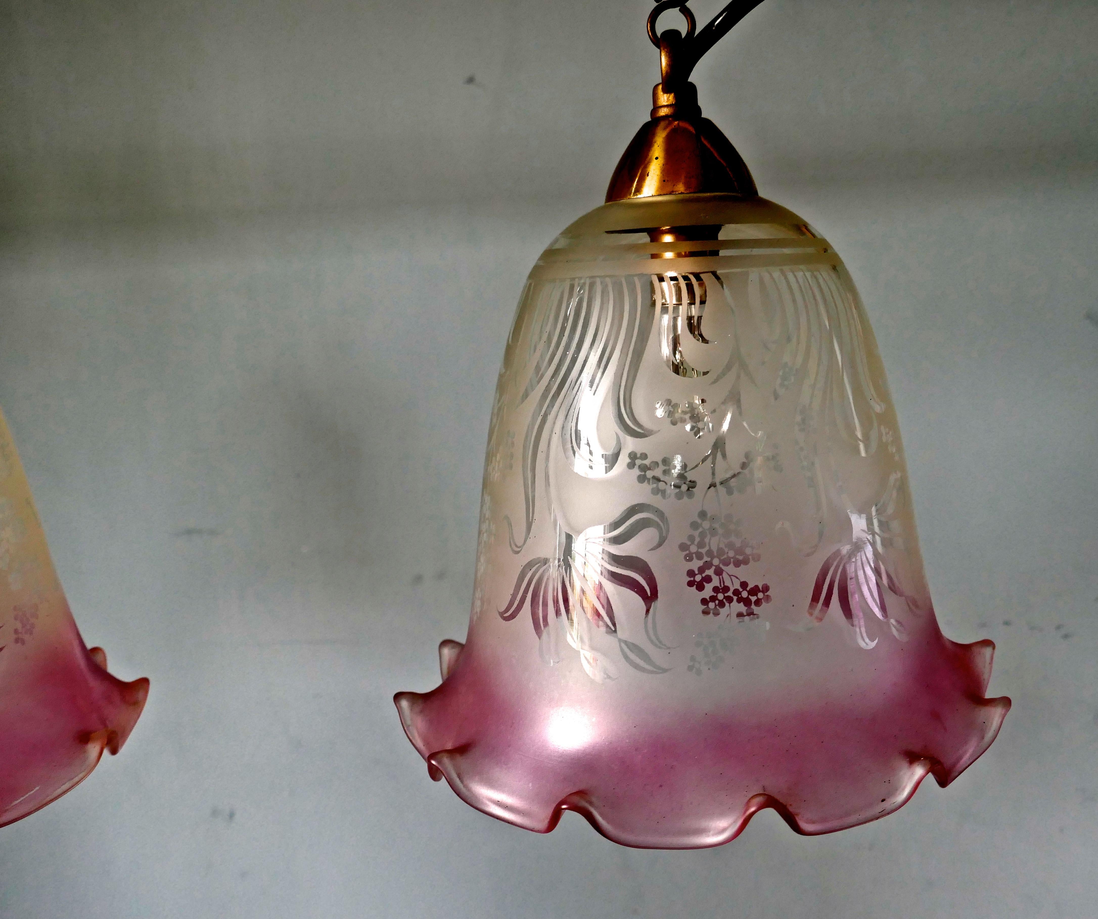 A pair of large glass ceiling lights with etched, pink and clear pendant lampshades.

A lovely pair of ceiling lights, the lights have etched glass lampshades with a wide pink tinted frill, they hang from a small hook, these could have chain