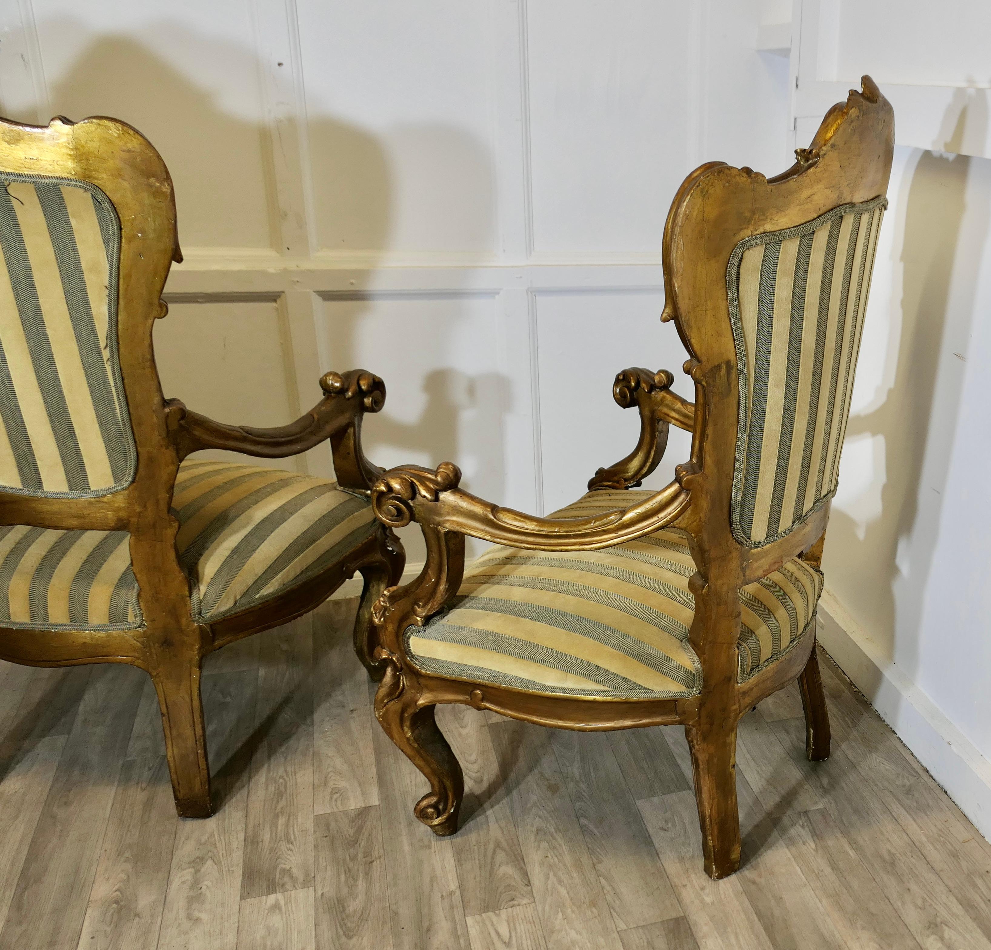 Pareja de grandes sillones italianos de madera dorada tallada  Estos son  sillones grandes en venta 4