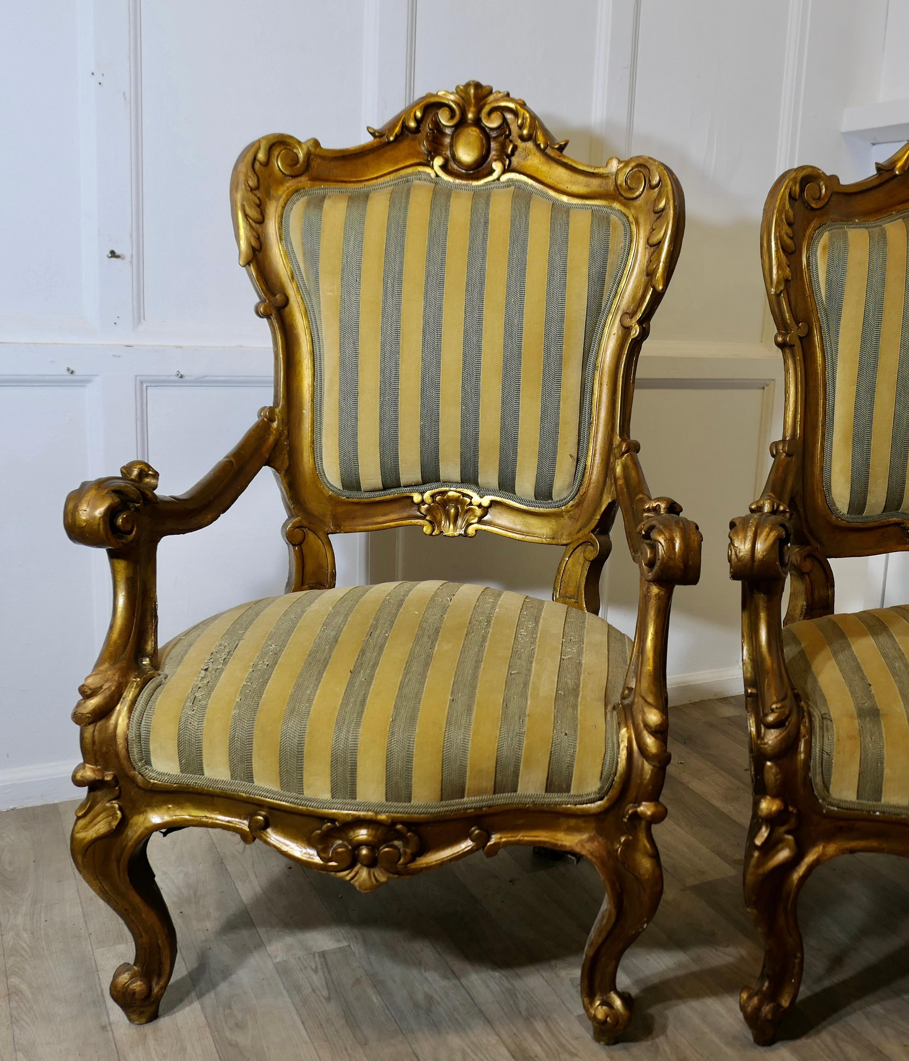 Pareja de grandes sillones italianos de madera dorada tallada  Estos son  sillones grandes en venta 7