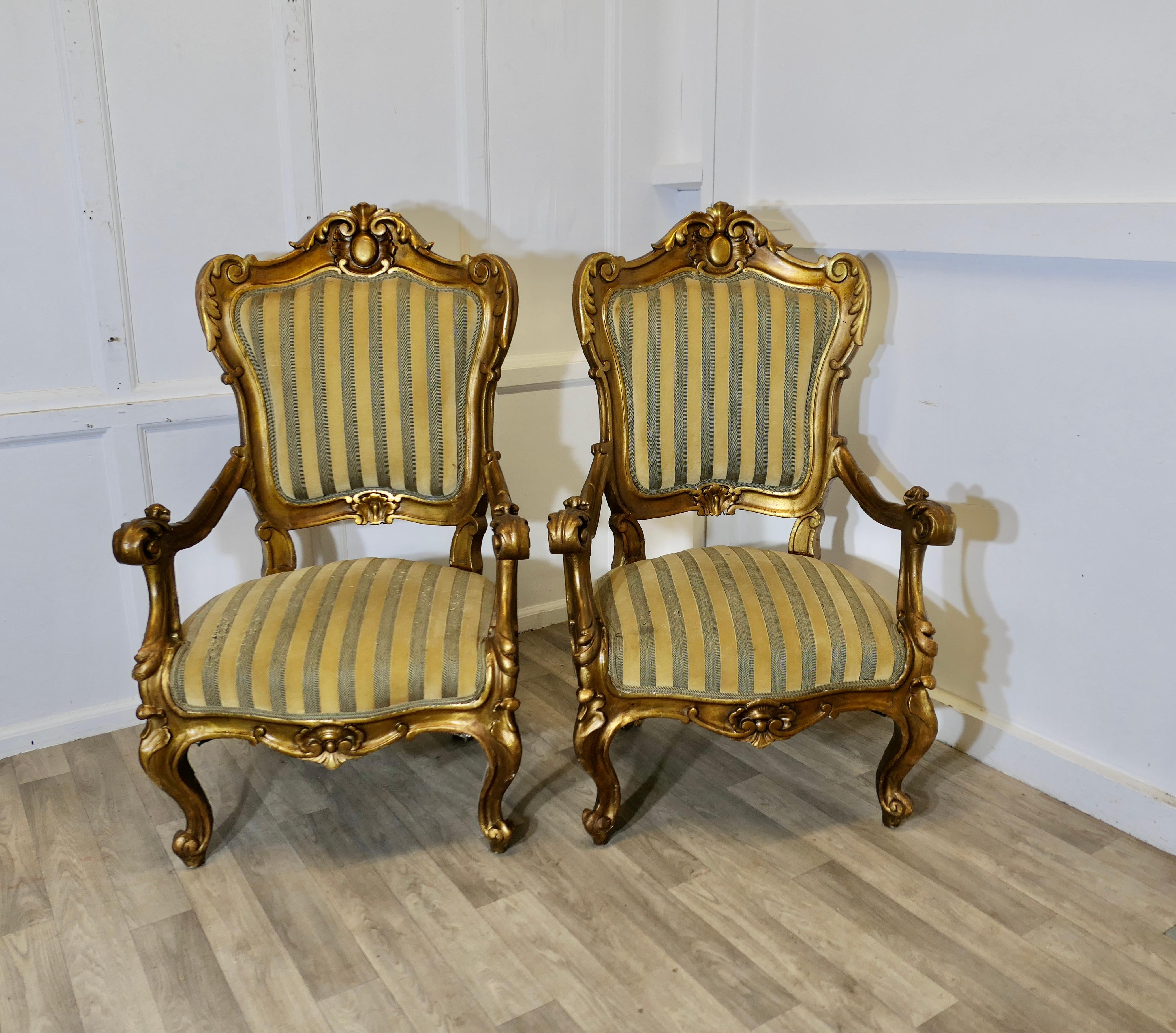 Pareja de grandes sillones italianos de madera dorada tallada  Estos son  sillones grandes en Bueno estado para la venta en Godshill, Isle of Wight