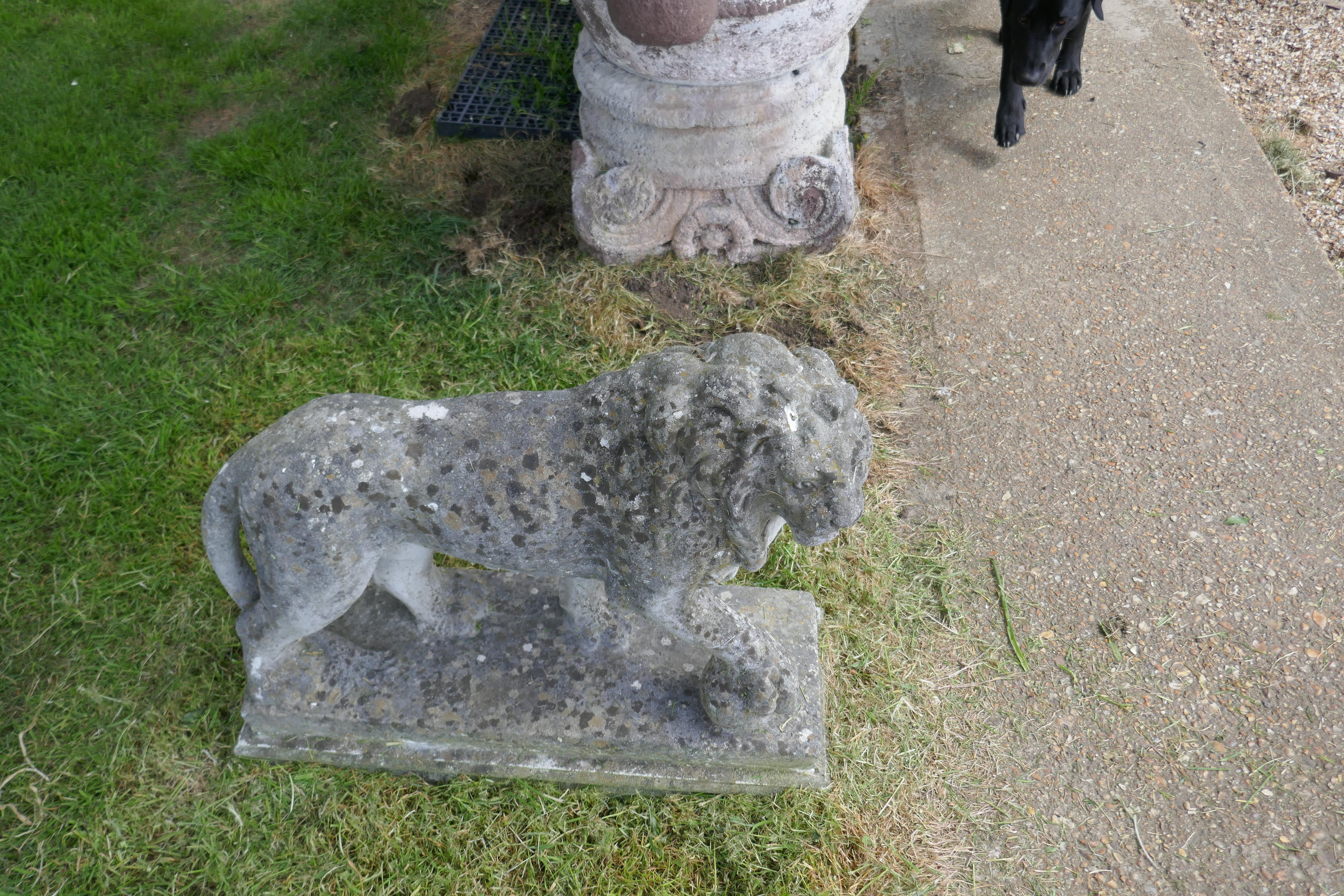 Pair of Large Stone Garden Entrance Guardian Lions 3