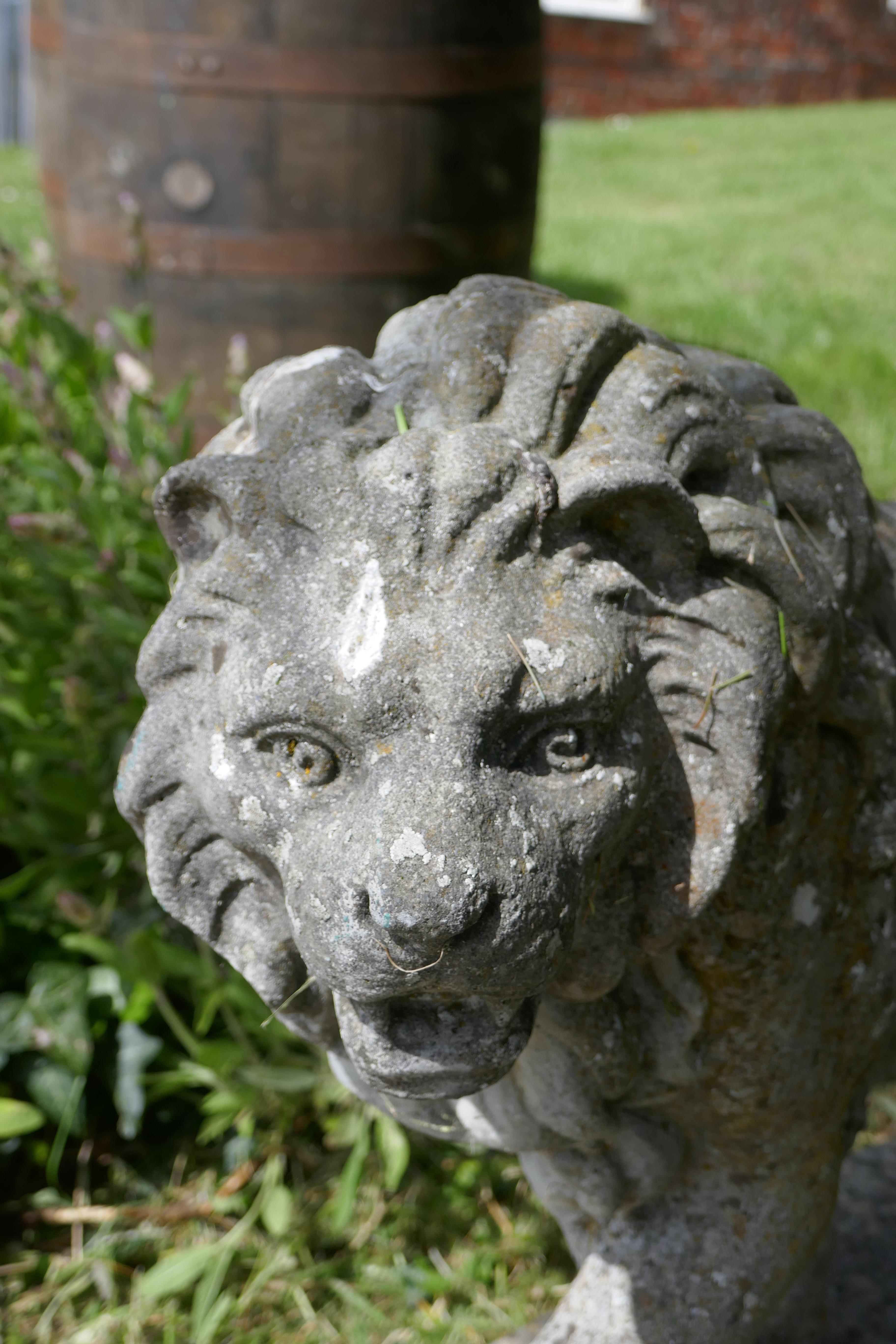Pair of Large Stone Garden Entrance Guardian Lions 9