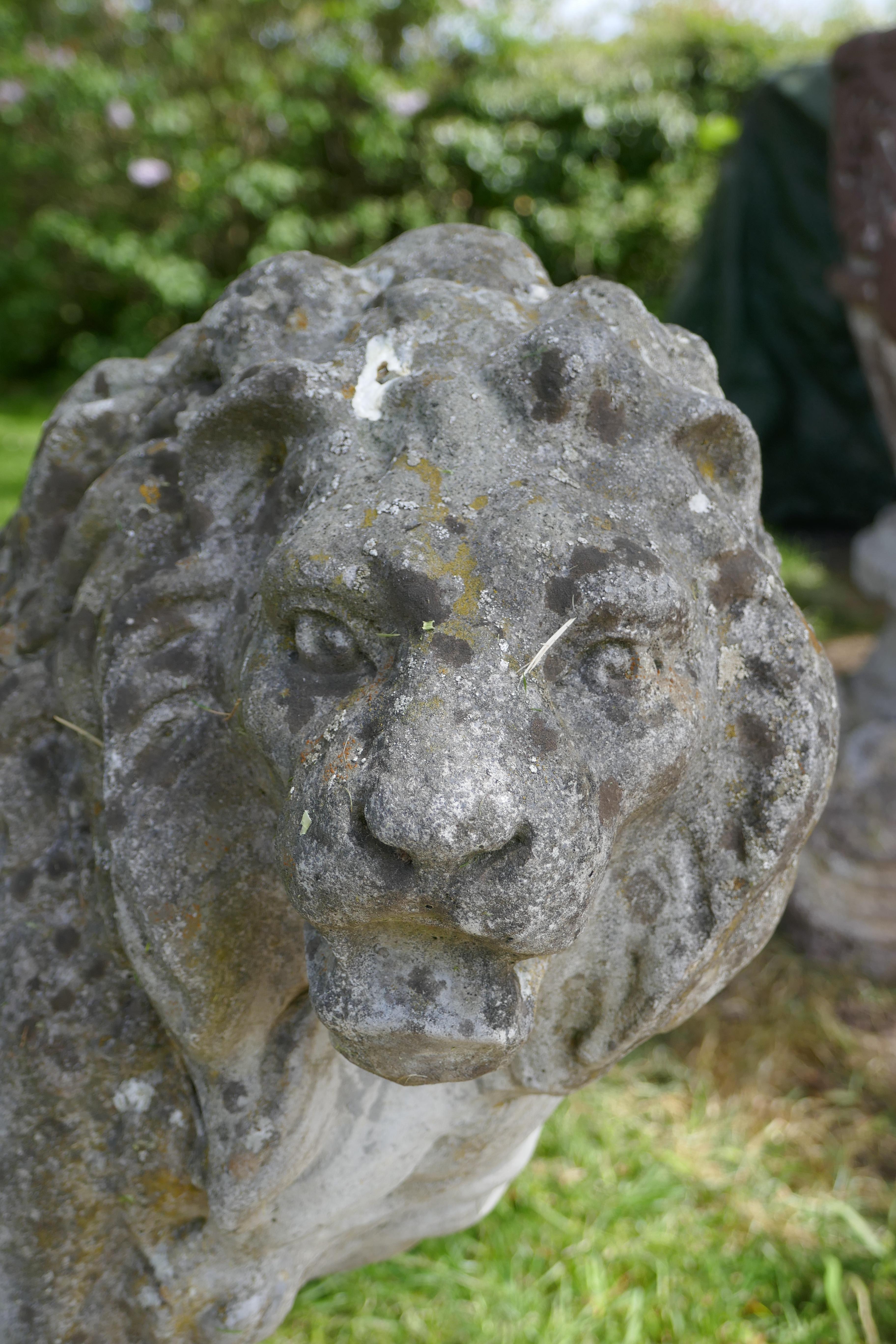 Pair of Large Stone Garden Entrance Guardian Lions 10