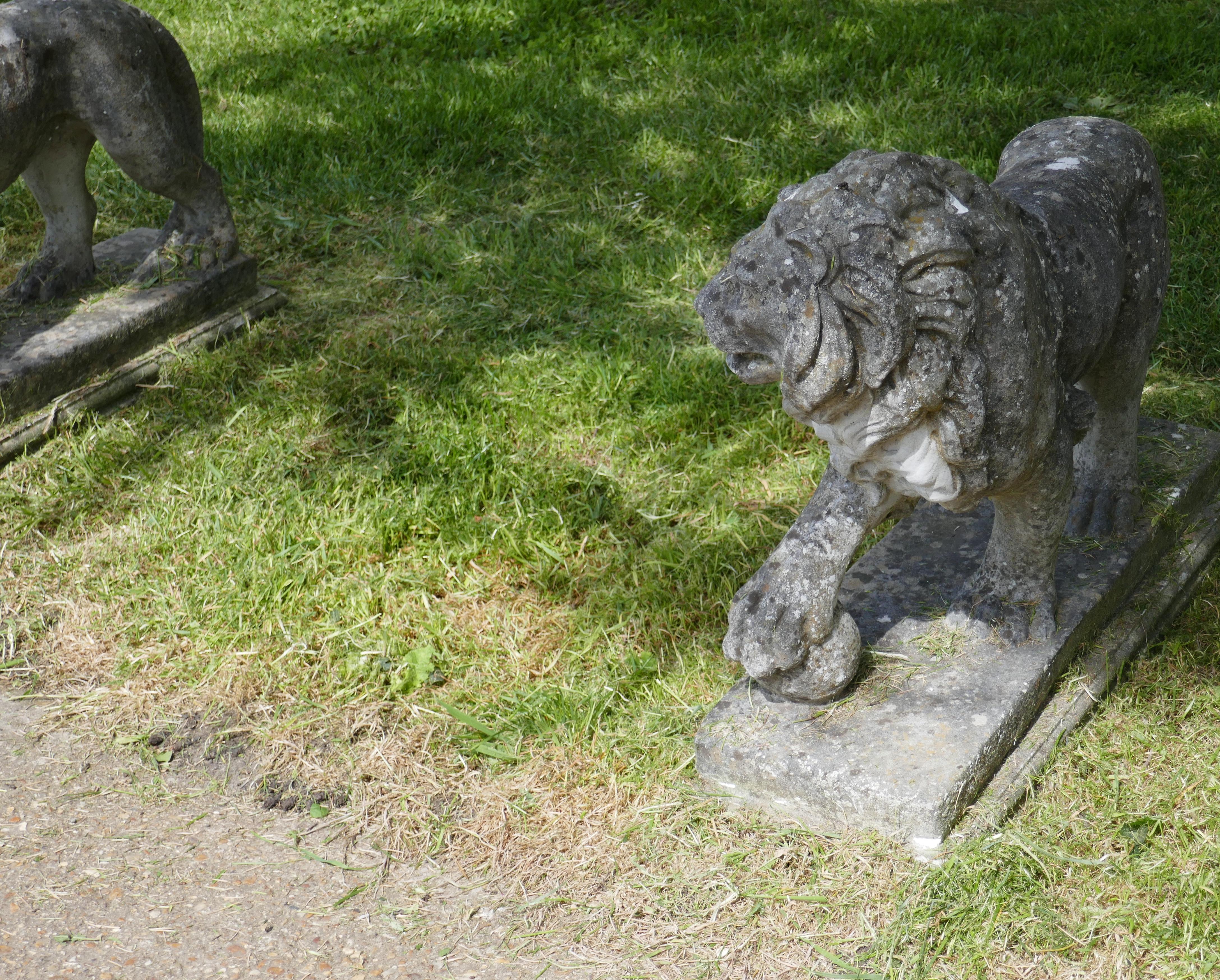 Classical Roman Pair of Large Stone Garden Entrance Guardian Lions