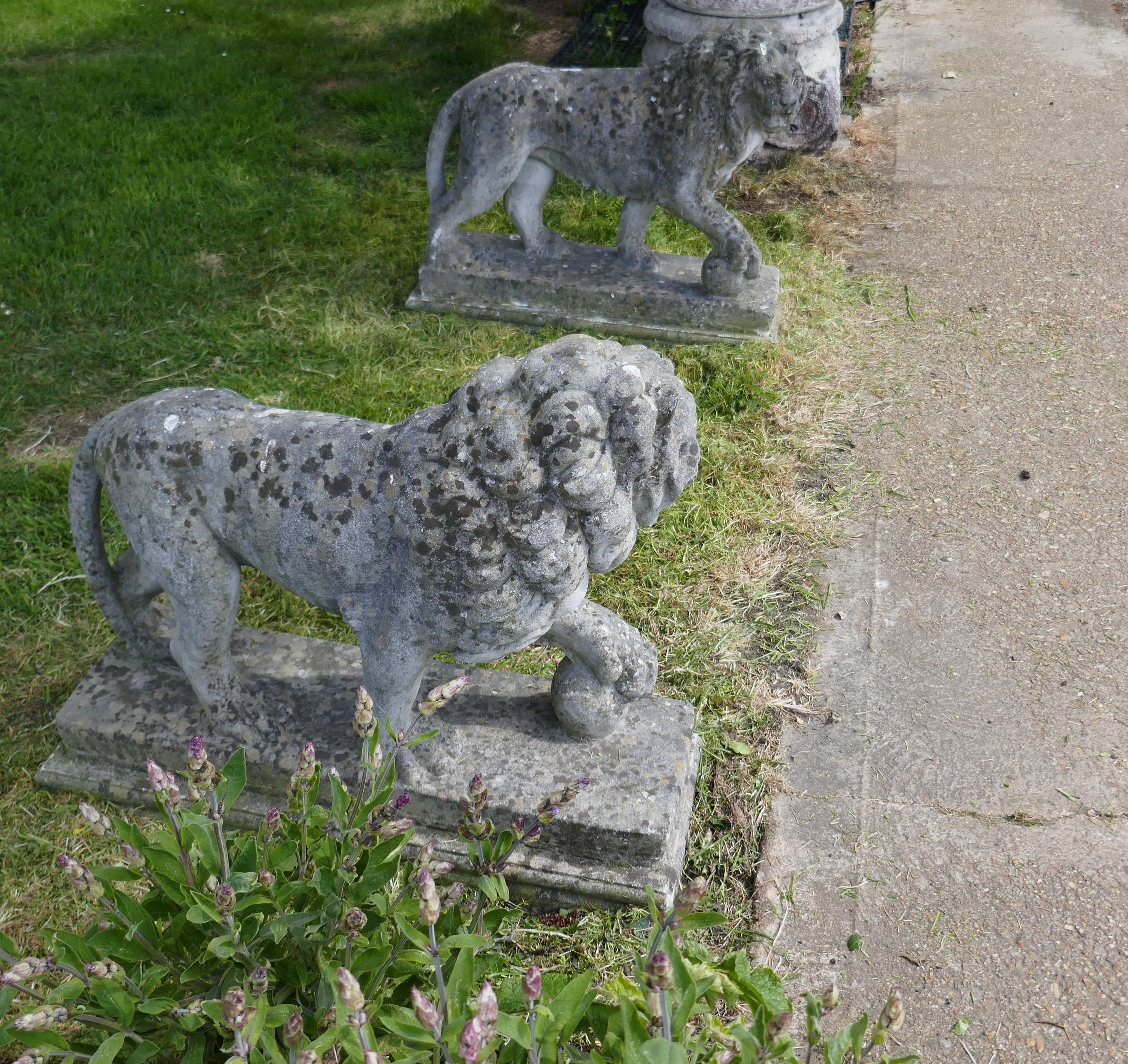 Pair of Large Stone Garden Entrance Guardian Lions 1
