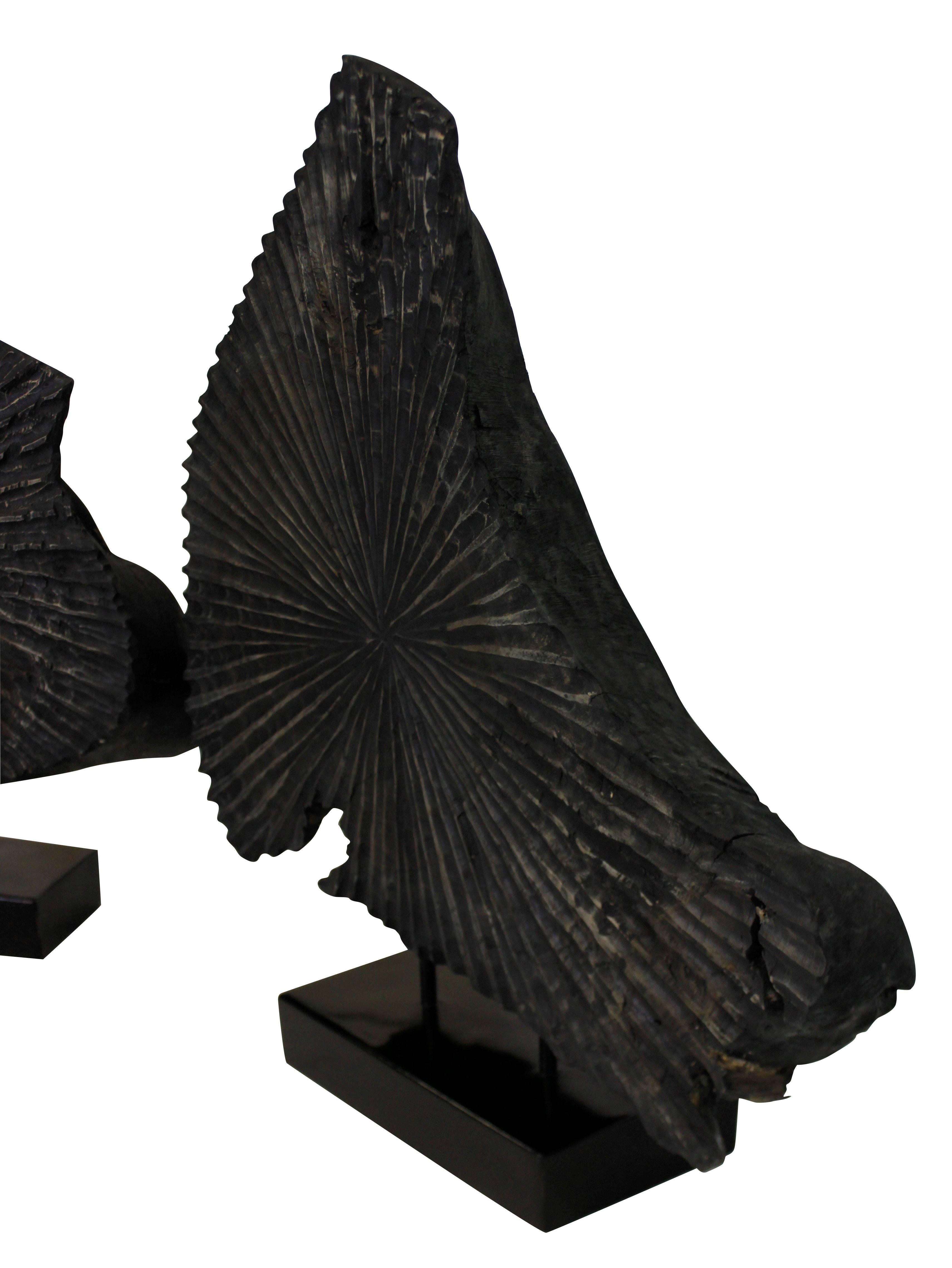 A pair of large sliced tree trunk sculptures, mounted on black lacquered stands.

 