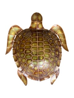 Pair of Large Unusual Turtle Shaped Nacre Faux Tortoiseshell Wall Sconces