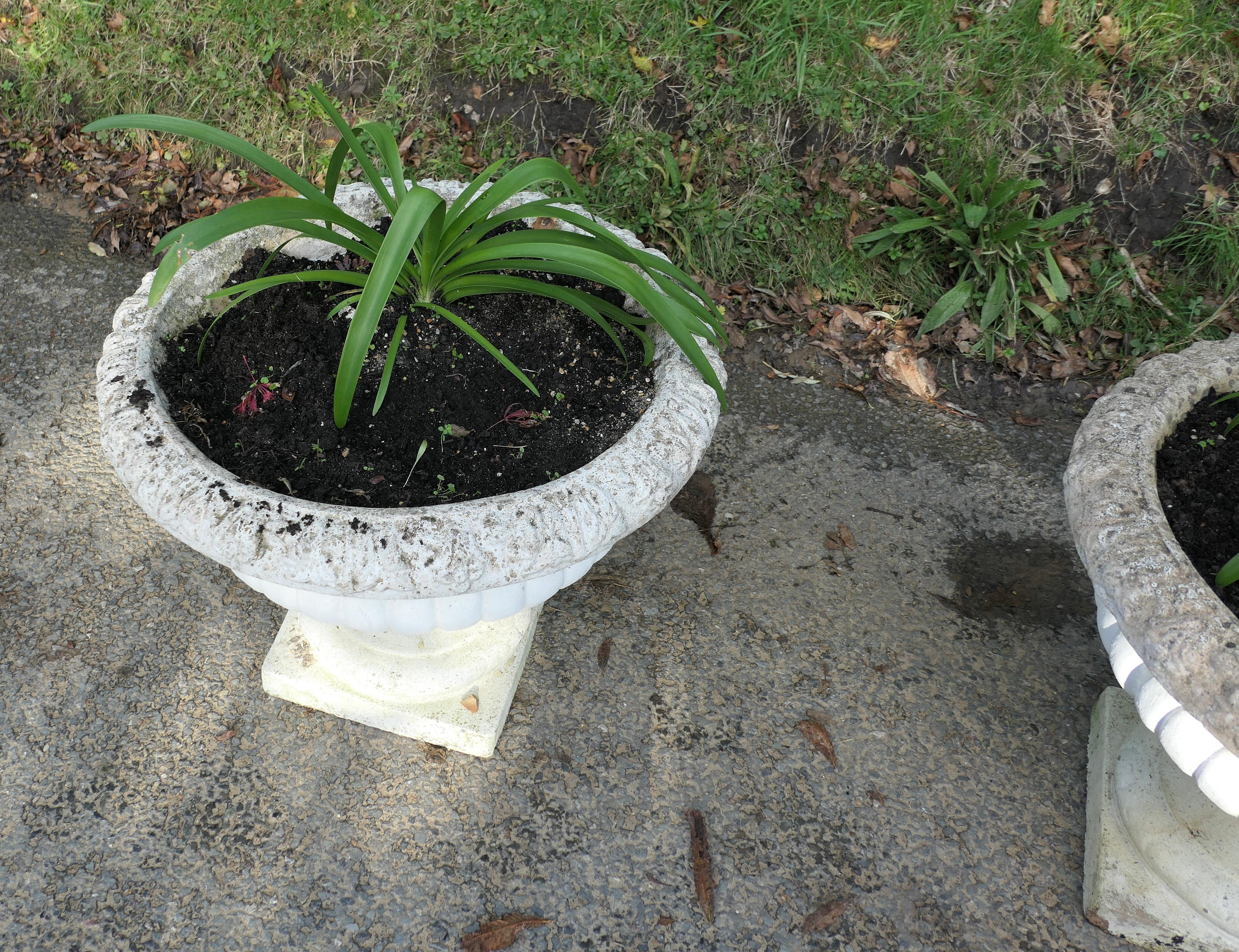 A Pair of Large Weathered Cast Stone Garden Planters For Sale 1