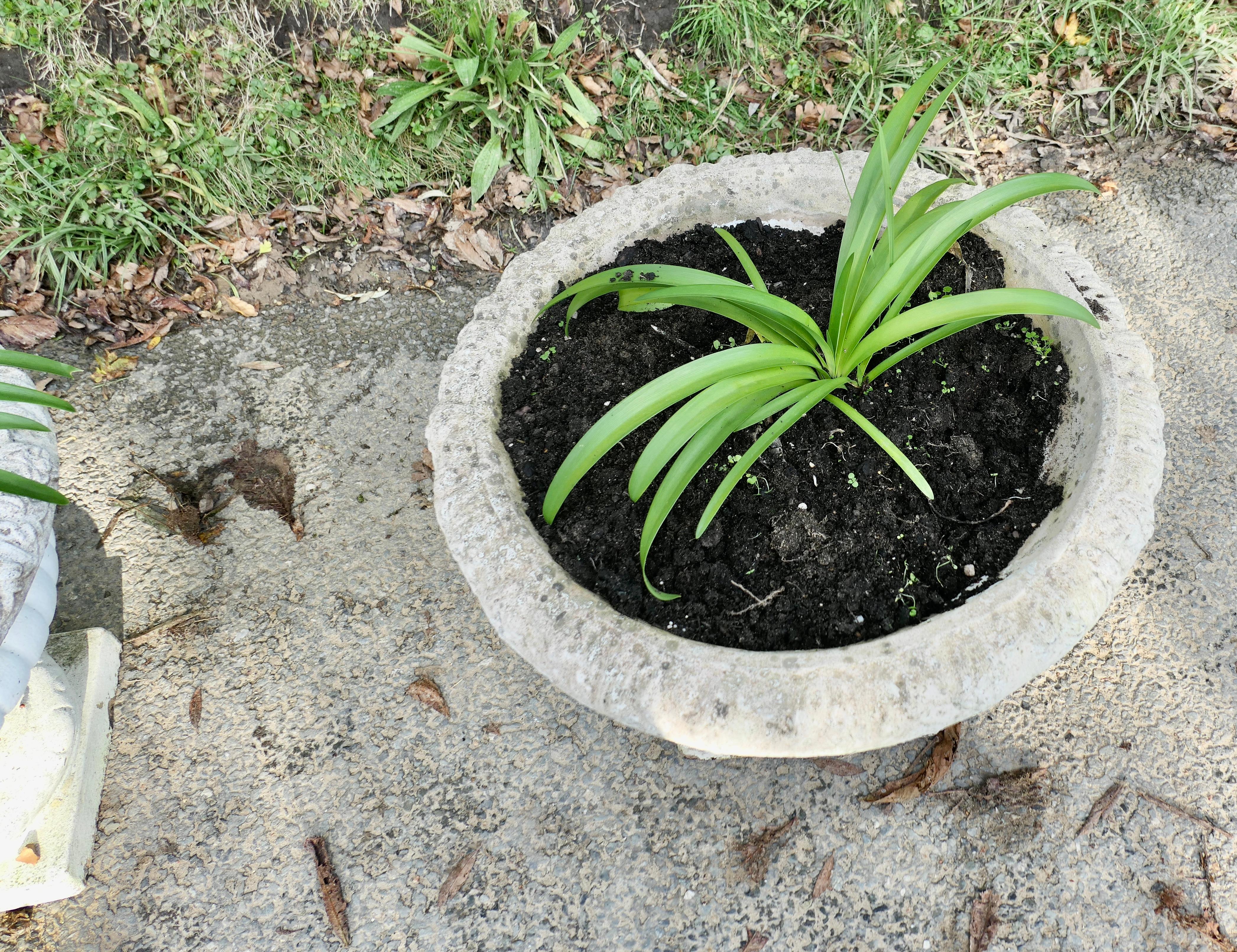 A Pair of Large Weathered Cast Stone Garden Planters For Sale 2