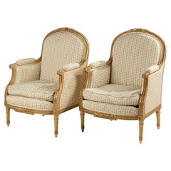 Pair of Late 19th Century Bergere Arm Chairs, Louis XVI Style