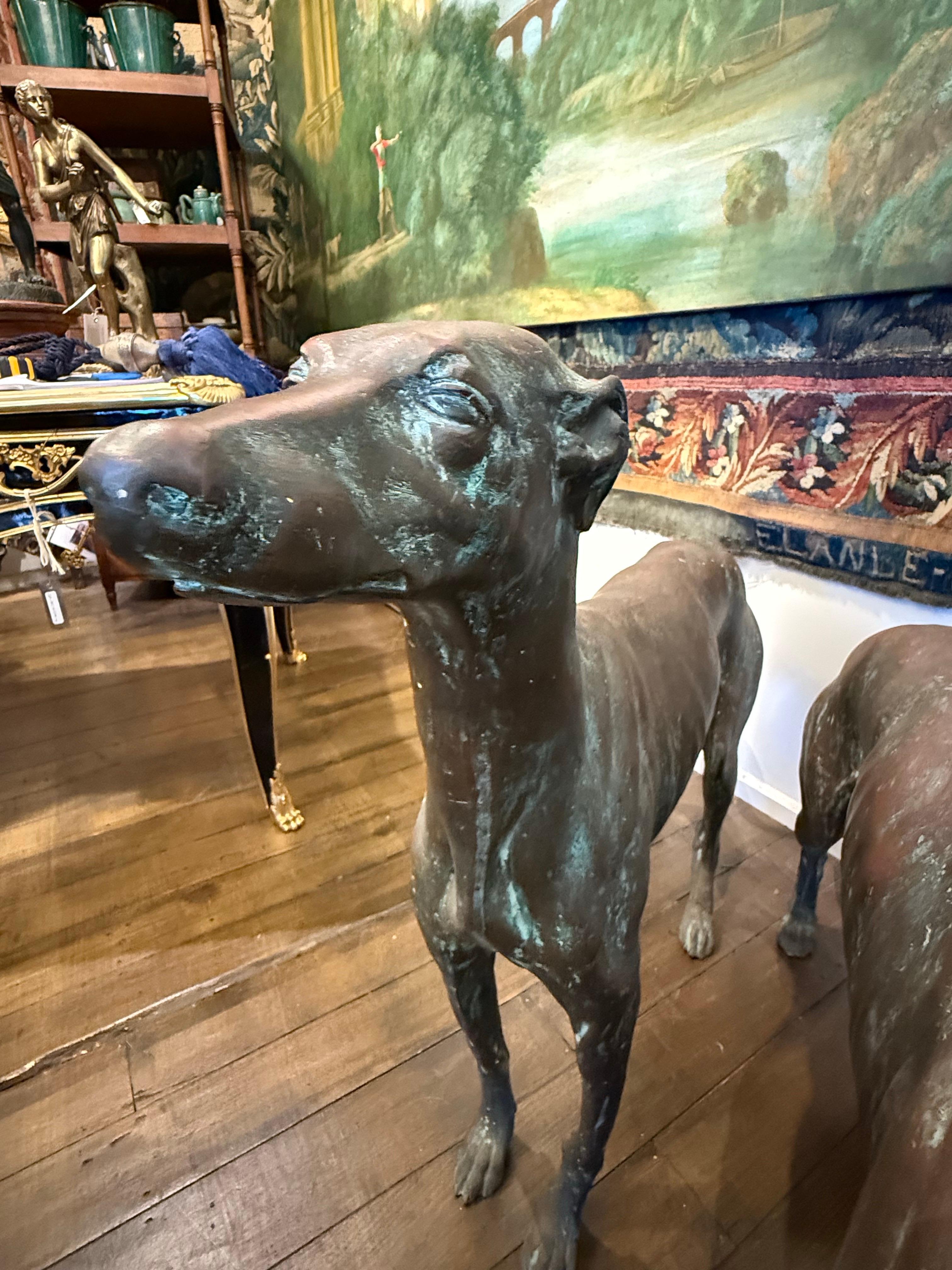 A Pair of Life Size Bronze Sighthounds For Sale 6
