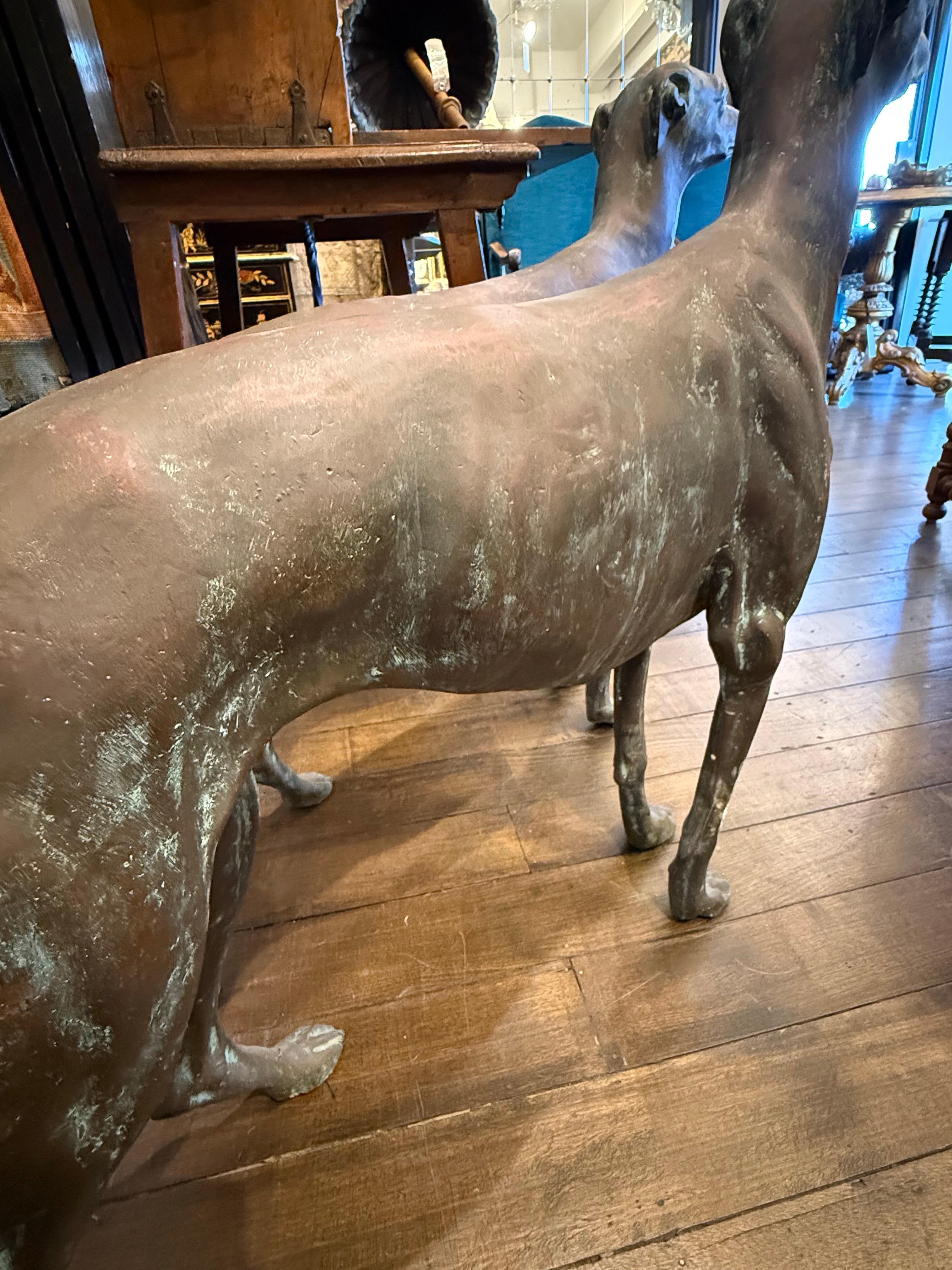 A Pair of Life Size Bronze Sighthounds For Sale 7