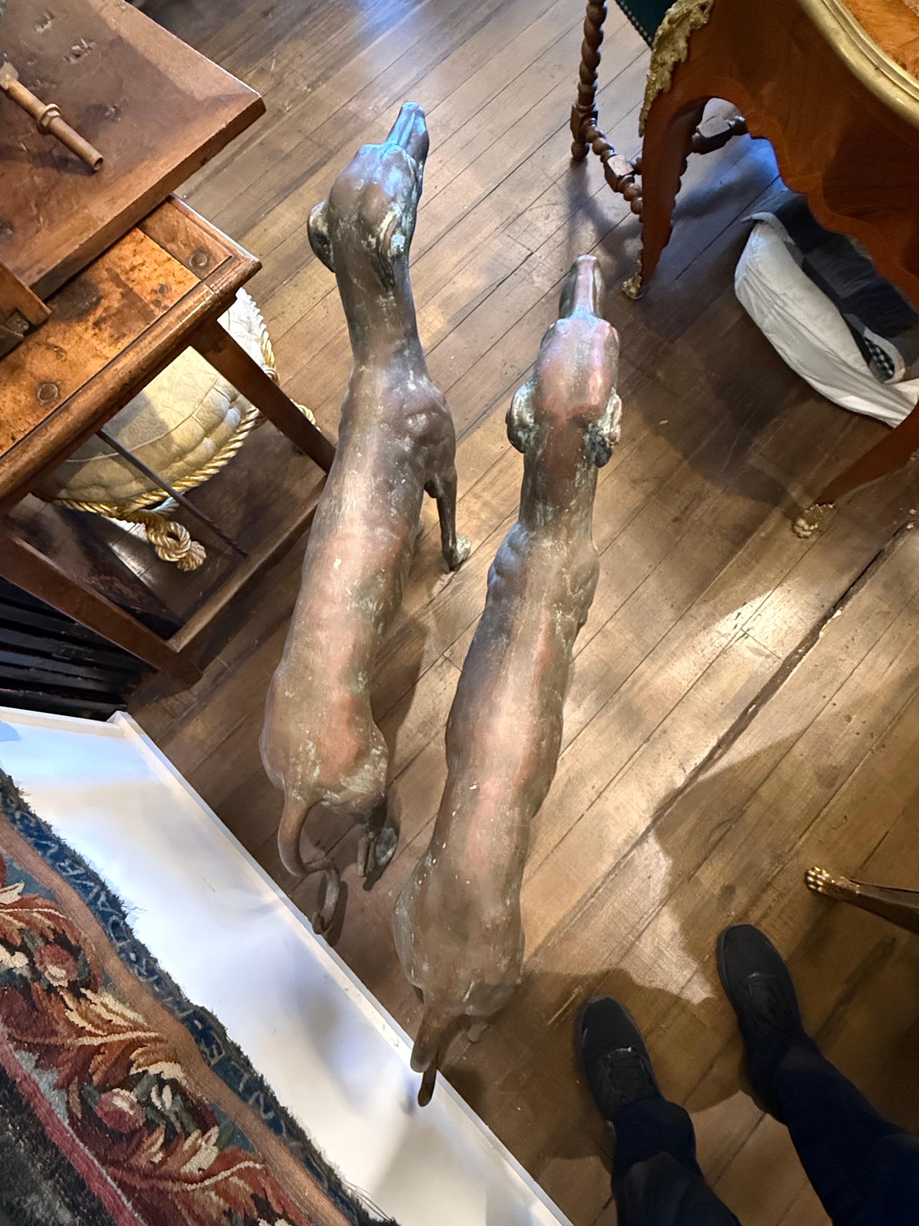 A Pair of Life Size Bronze Sighthounds For Sale 9