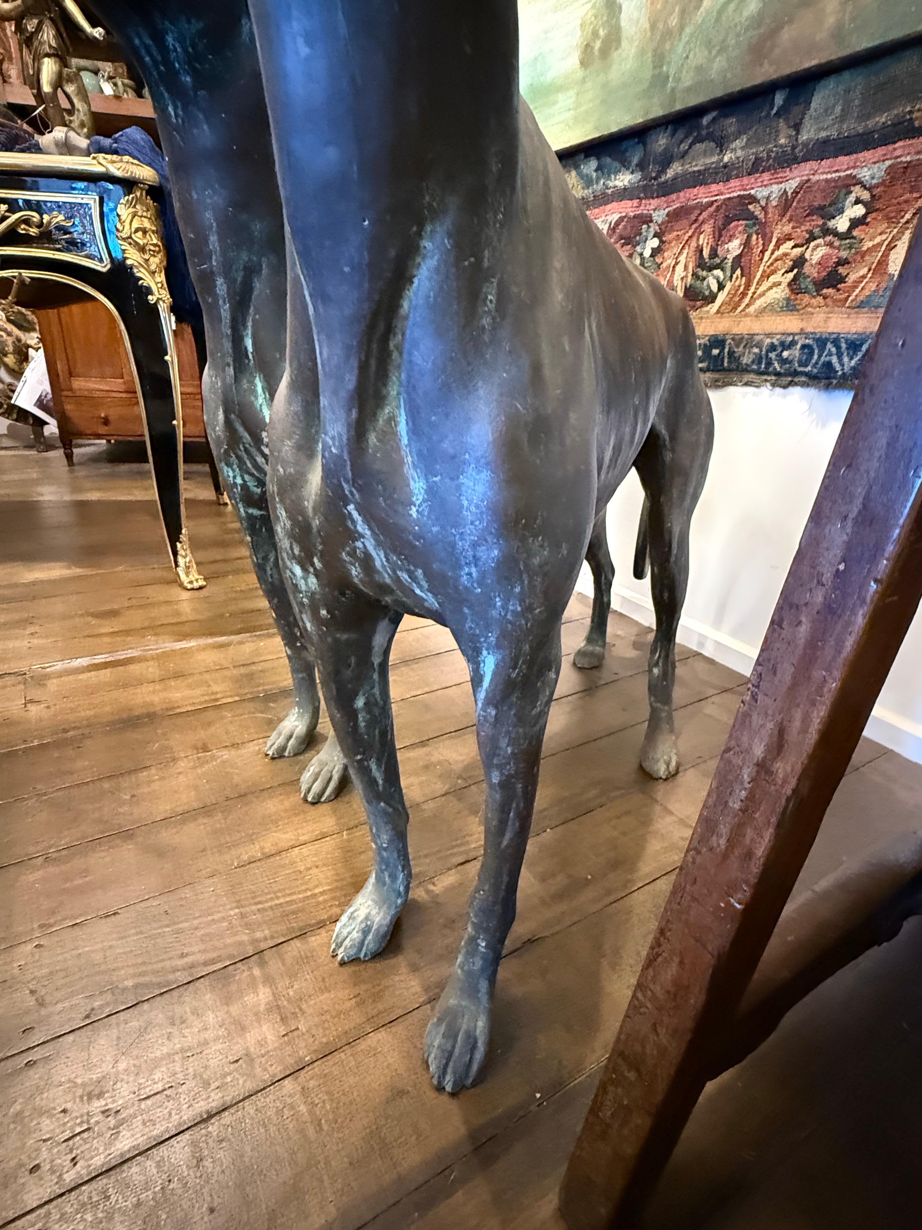 A Pair of Life Size Bronze Sighthounds For Sale 1