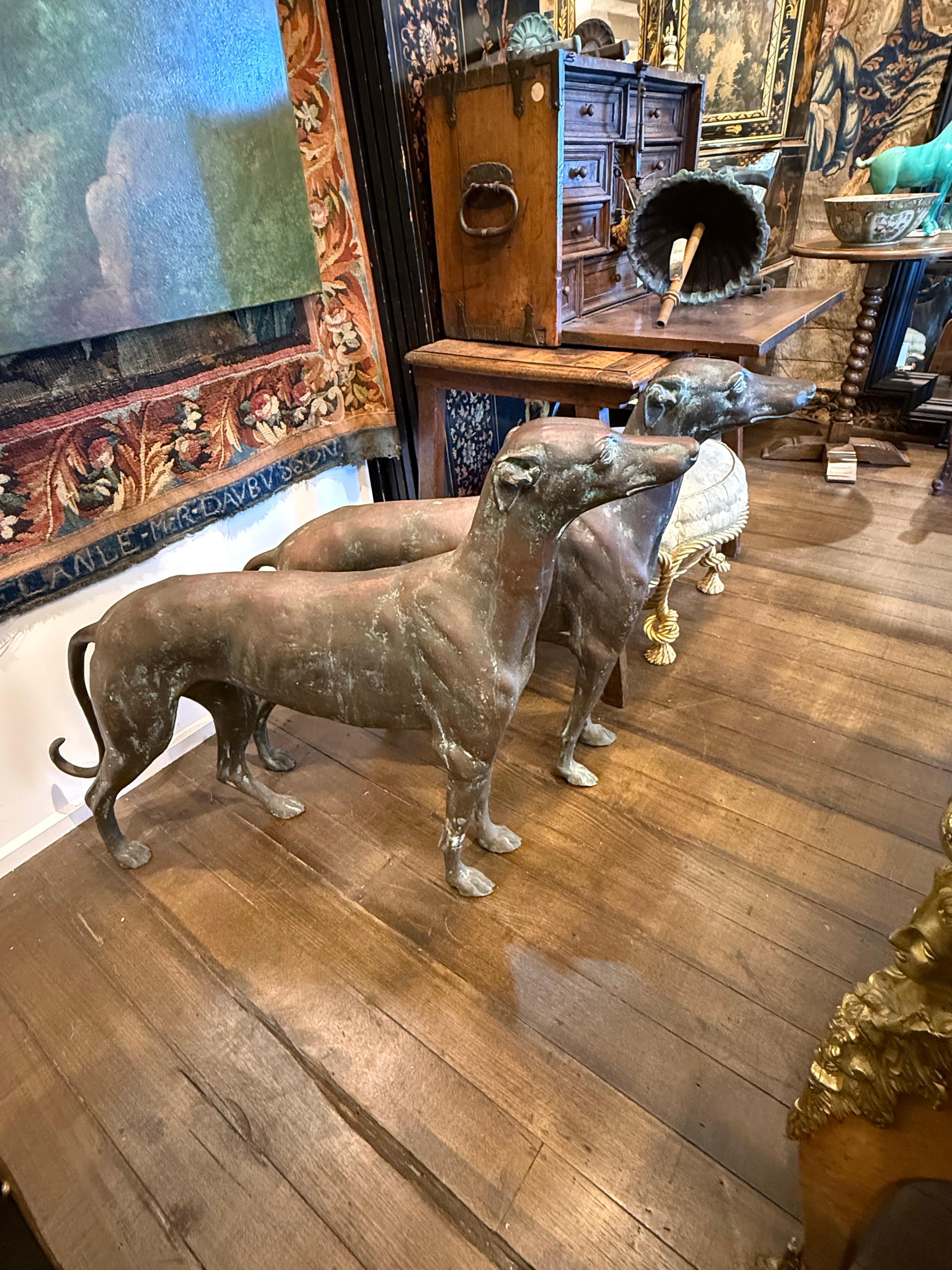 A Pair of Life Size Bronze Sighthounds For Sale 2