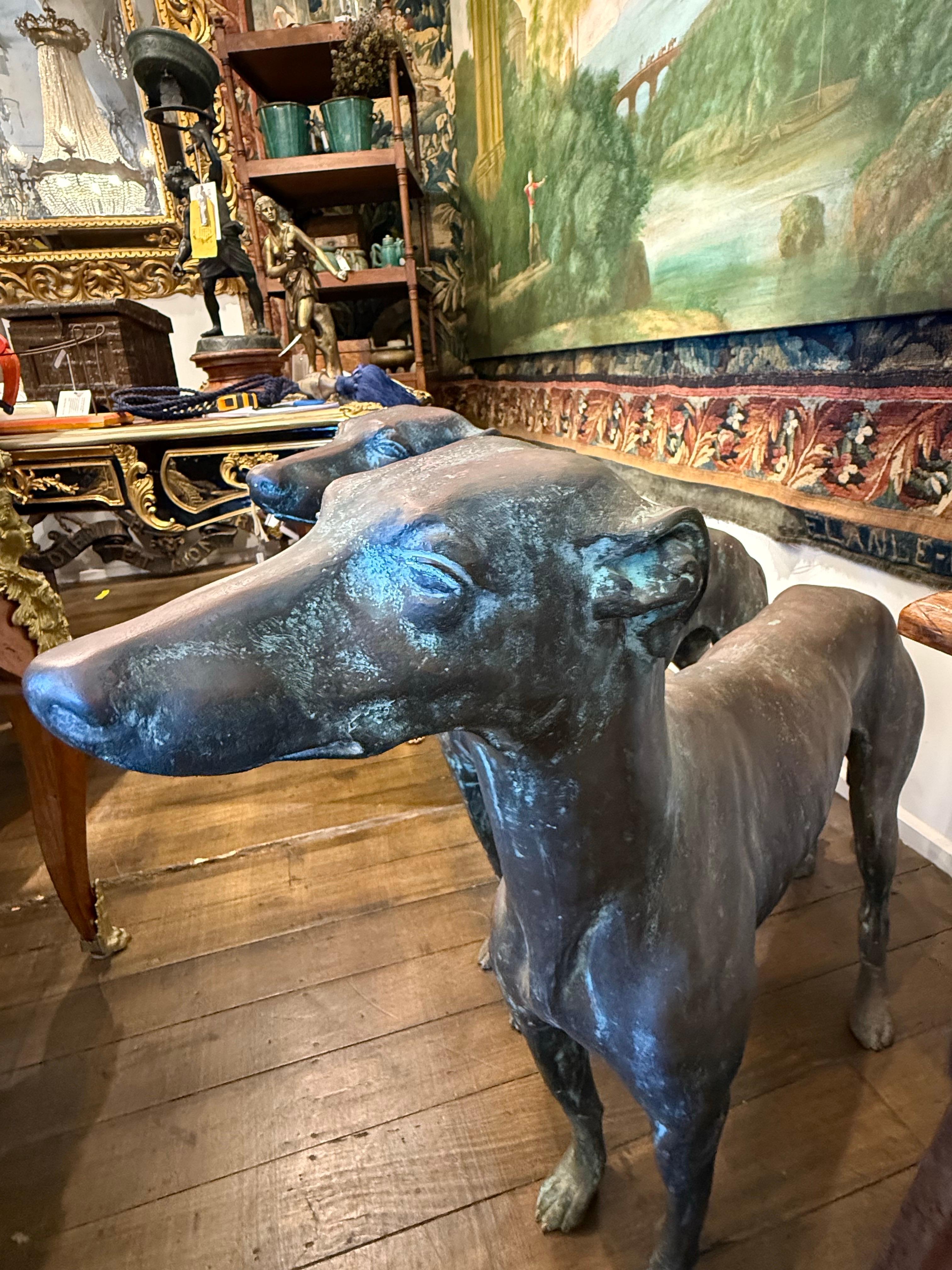 A Pair of Life Size Bronze Sighthounds For Sale 3