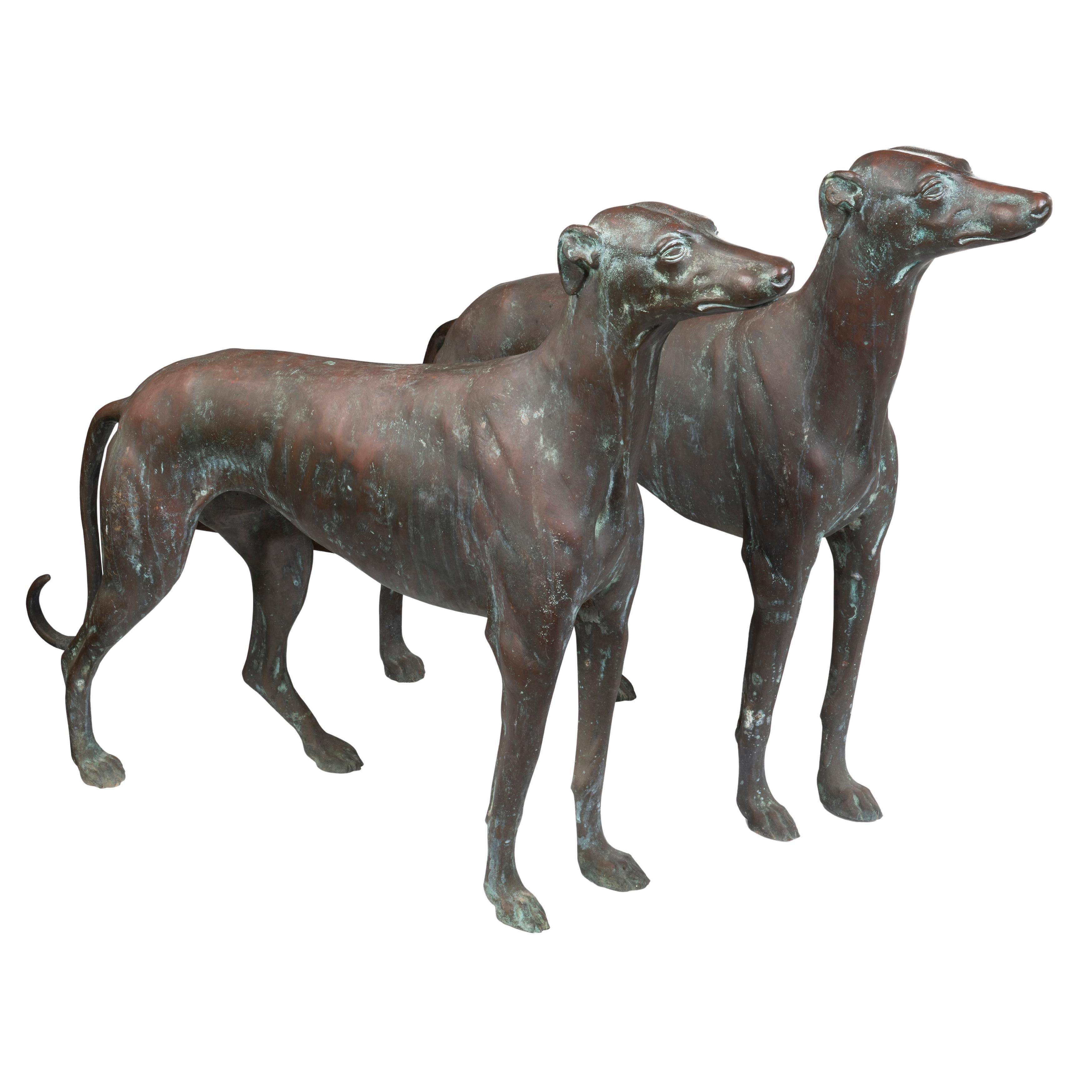 Una coppia di cani da caccia in bronzo a grandezza naturale