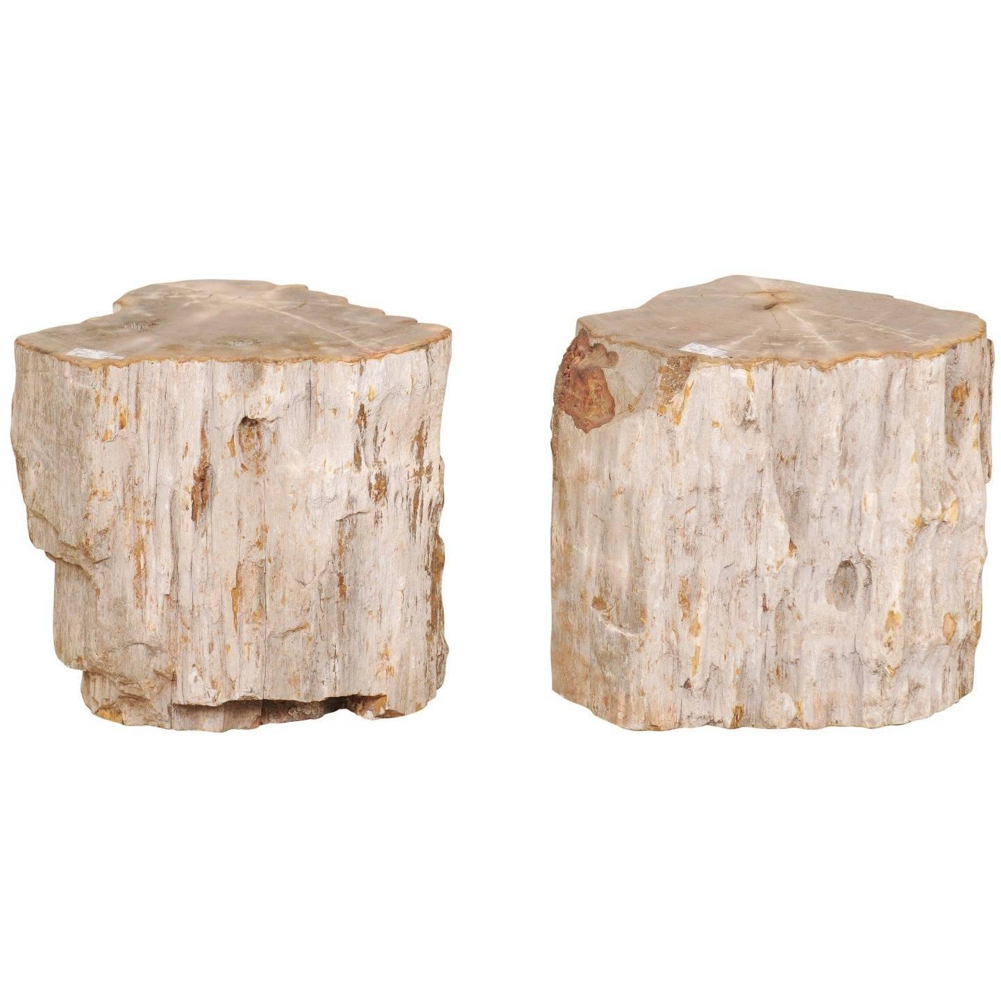 Pair of Light Toned Cream Colored Petrified Wood Side or Drink Tables