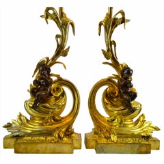 Pair of Louis XV Style Gilt and Patinated Bronze Fireplace Chenet Lamps
