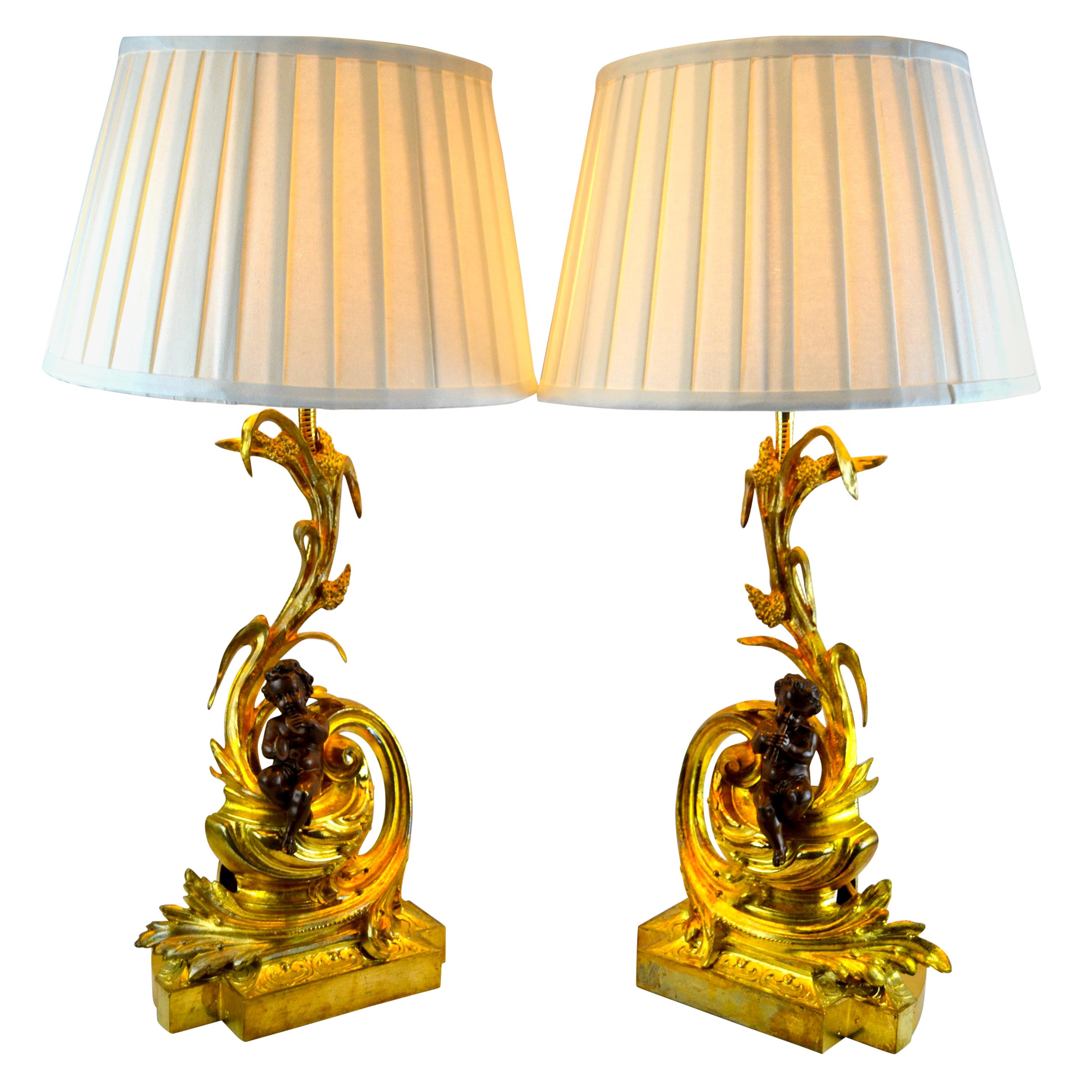 Pair of Louis XV Style Gilt and Patinated Bronze Fireplace Chenet Lamps